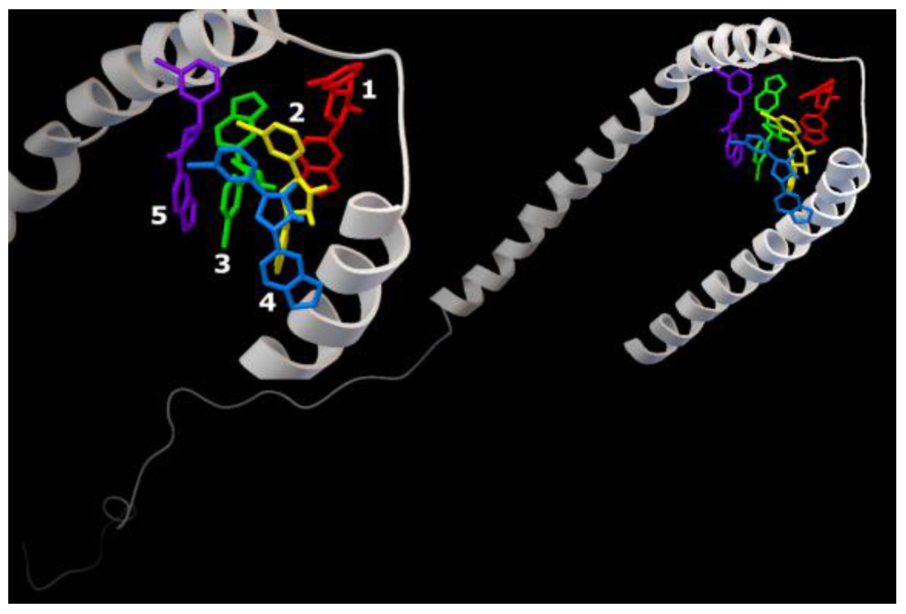 Ijms 23 16096 g008 Ijms 23 16096 g008