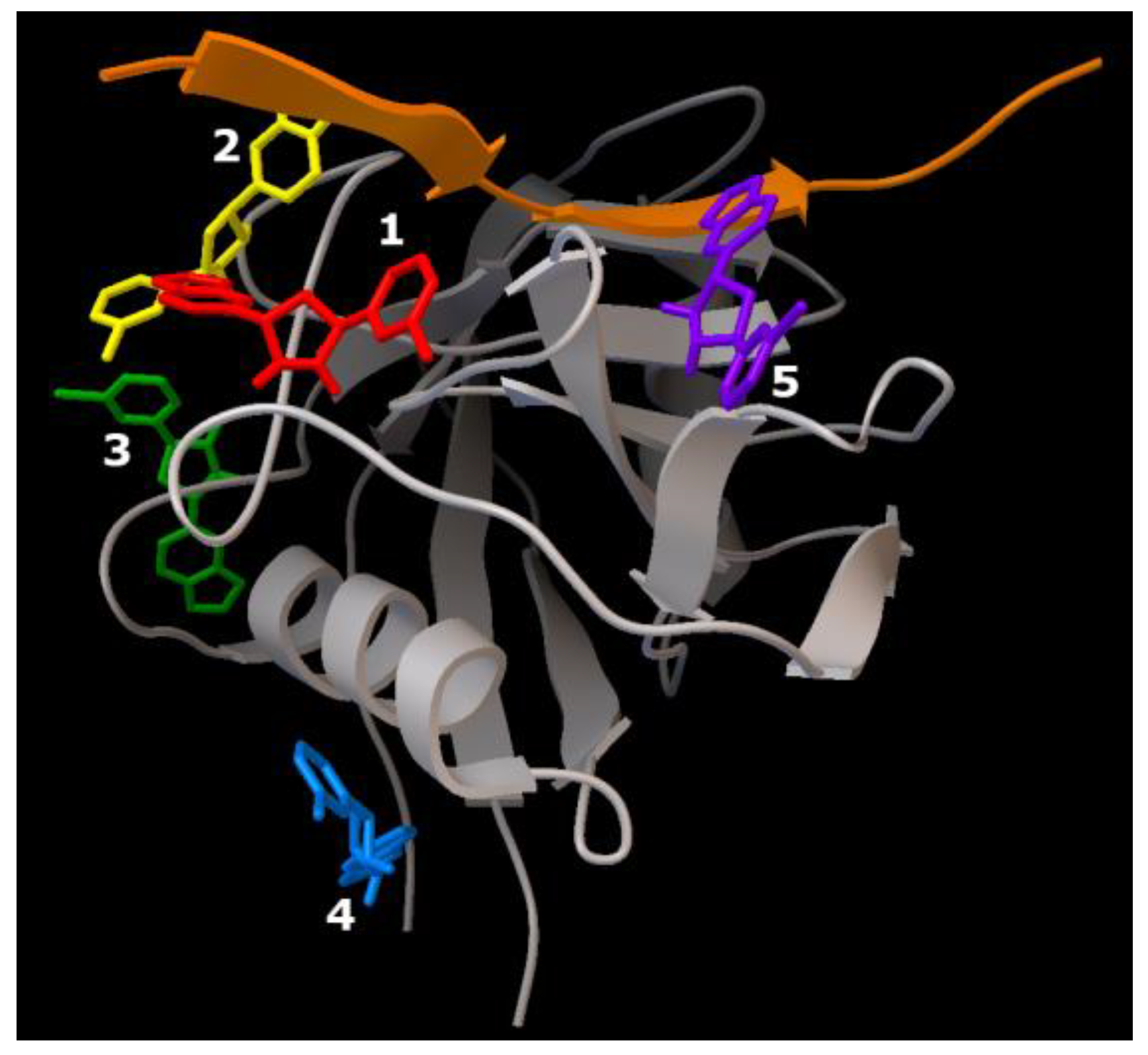 Ijms 23 16096 g009 Ijms 23 16096 g009