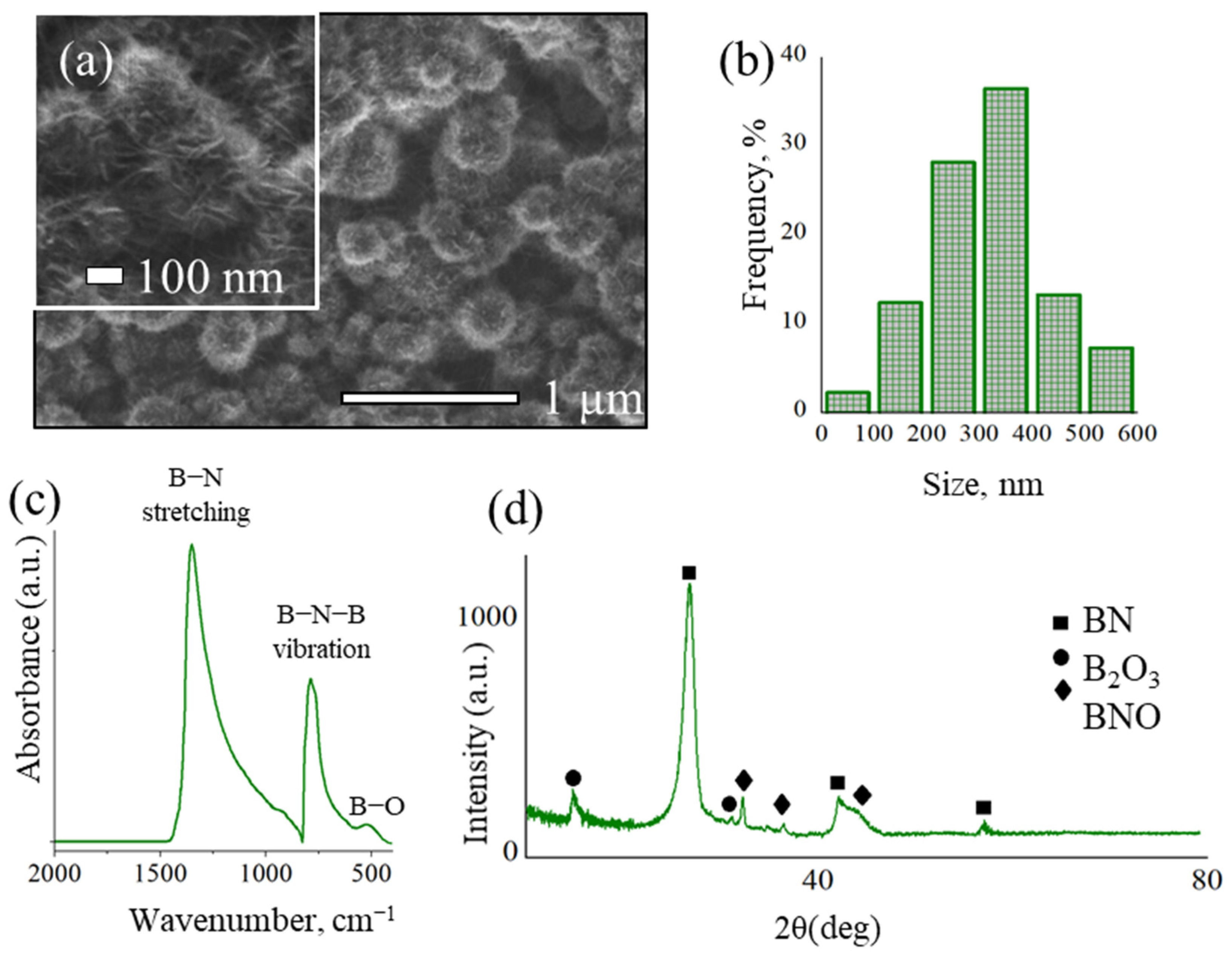 Ijms 23 16097 g001 Ijms 23 16097 g001