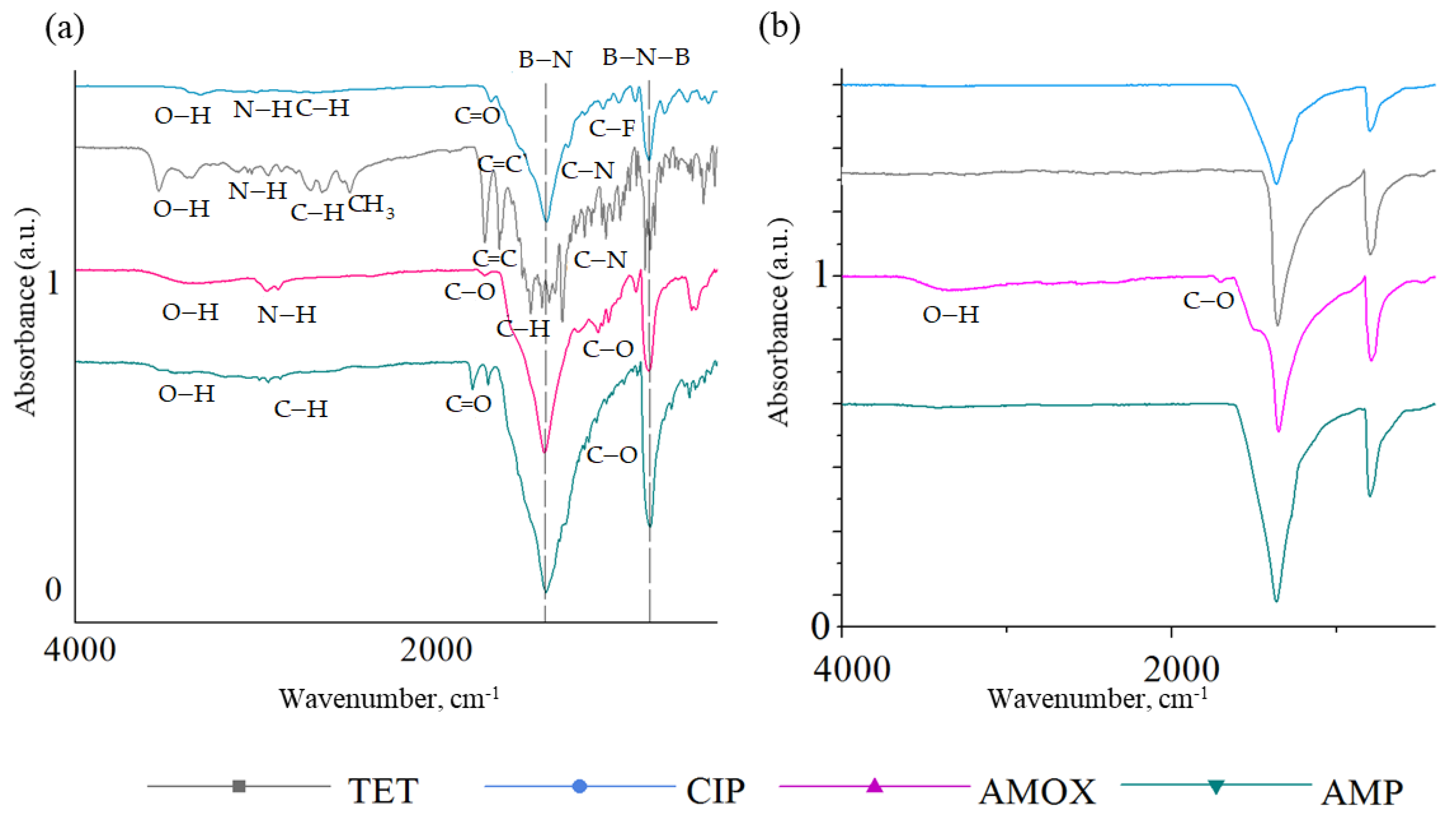 Ijms 23 16097 g003 Ijms 23 16097 g003