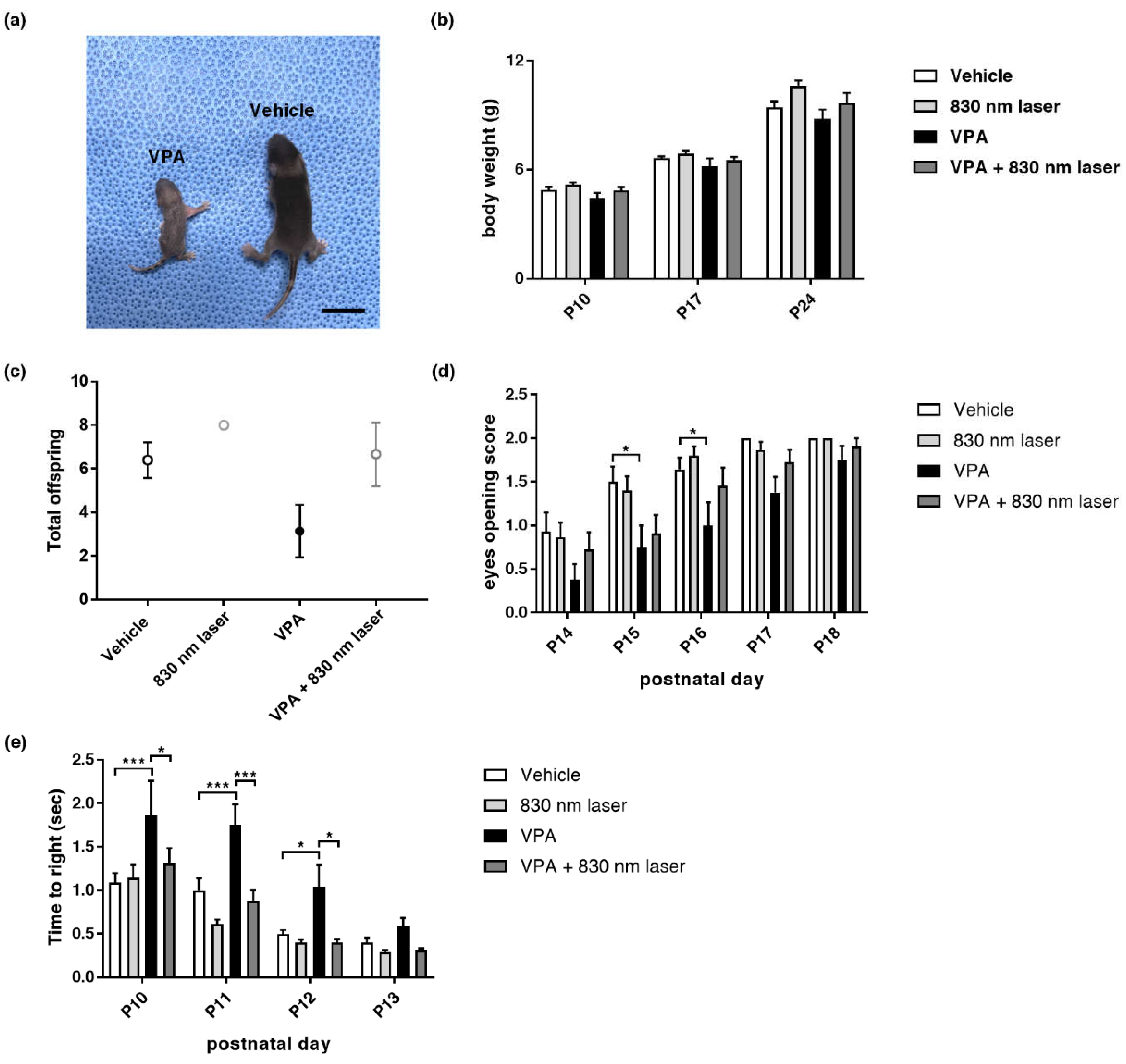 Ijms 23 16099 g001 Ijms 23 16099 g001