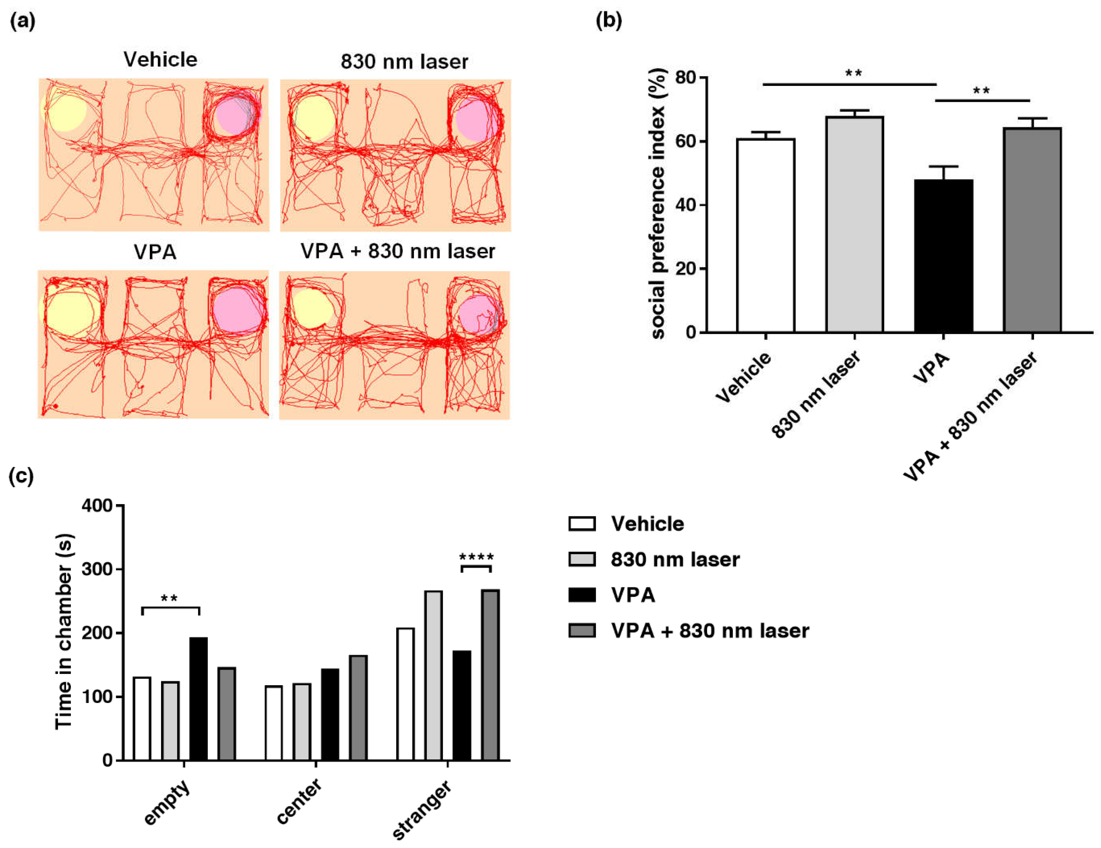 Ijms 23 16099 g003 Ijms 23 16099 g003