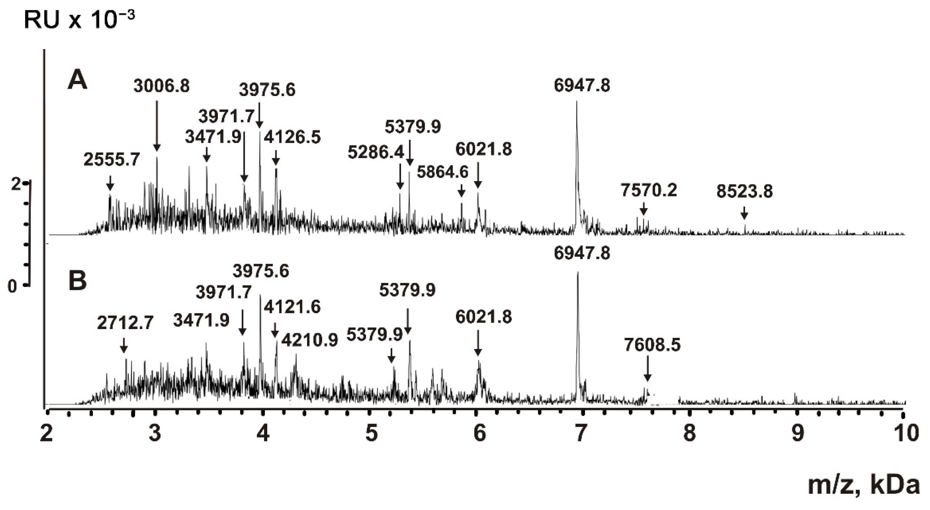 IJMS Free FullText Analysis of Proteins and Peptides of Highly Purified CD9+ and CD63