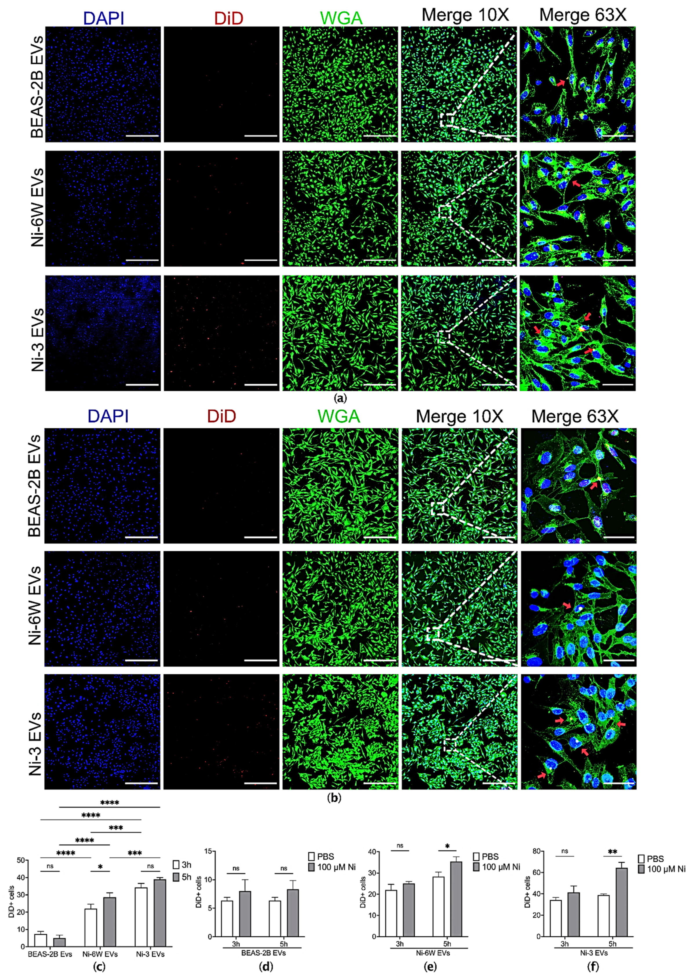 Ijms 23 16111 g002 Ijms 23 16111 g002