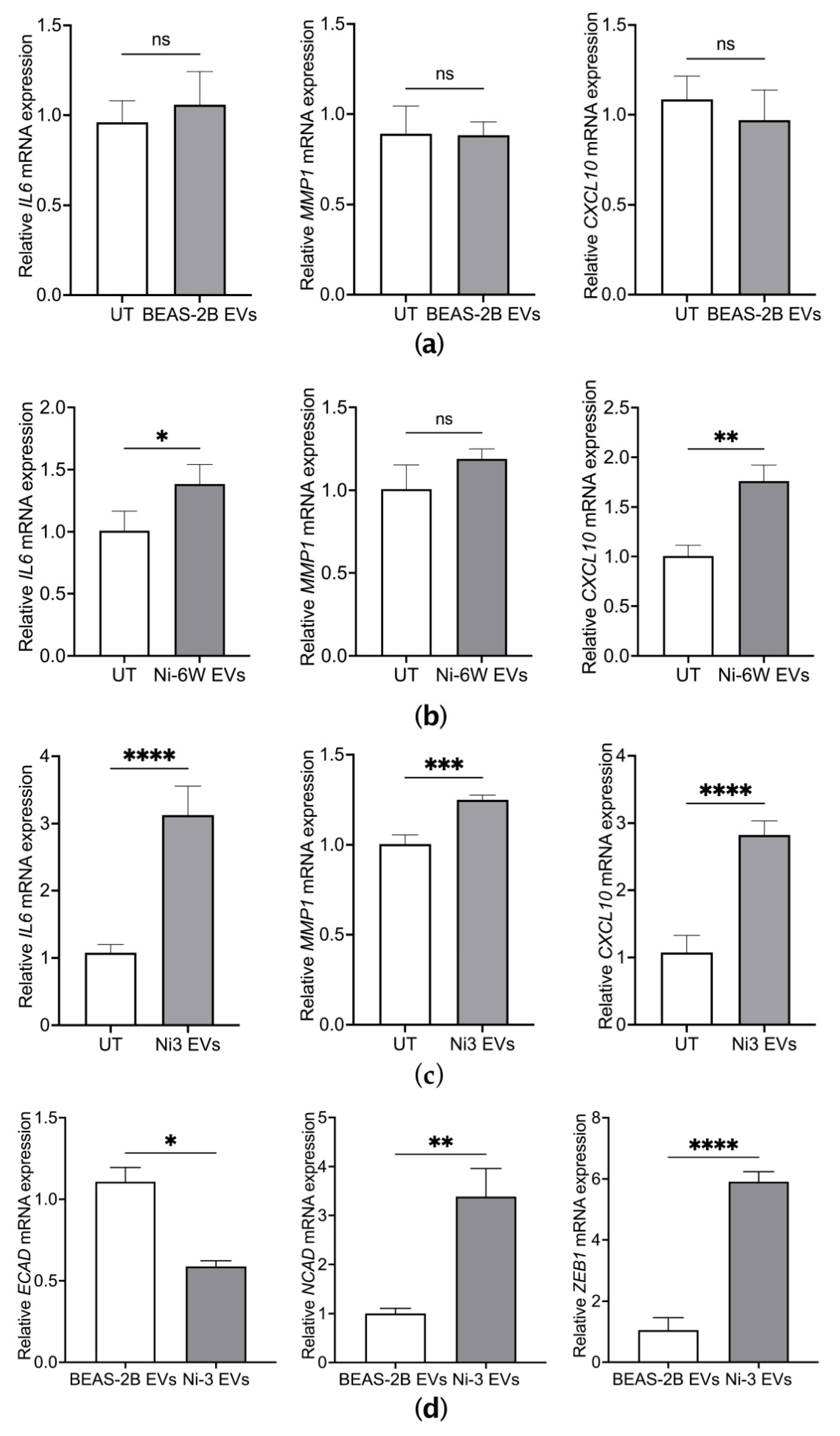 Ijms 23 16111 g003 Ijms 23 16111 g003