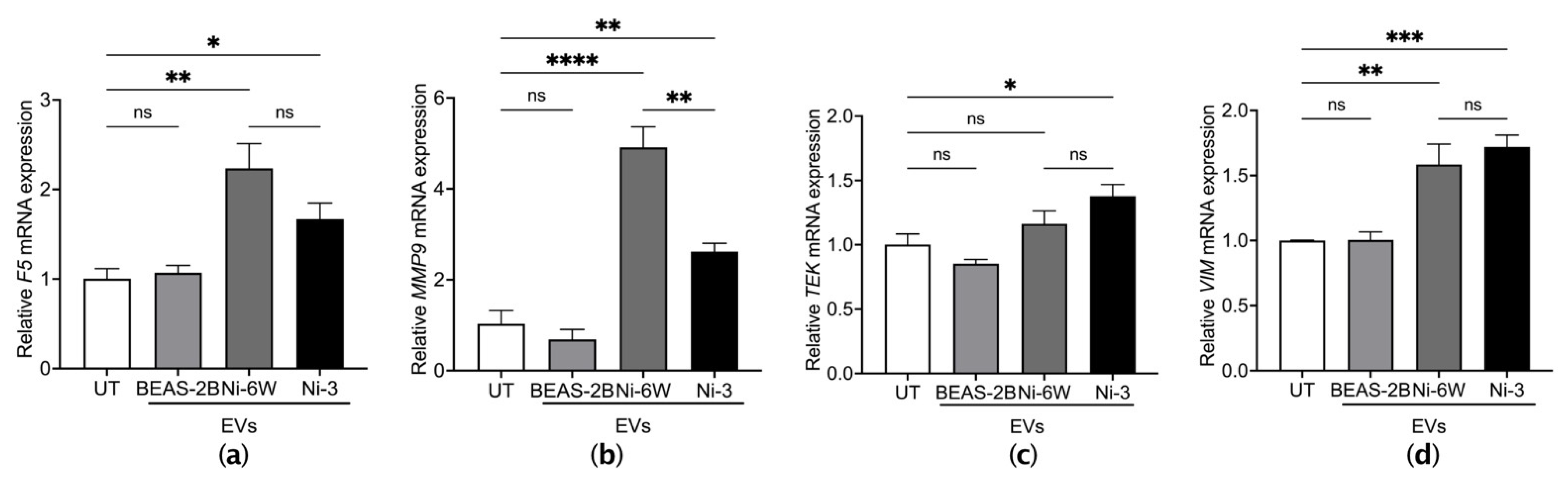 Ijms 23 16111 g005 Ijms 23 16111 g005