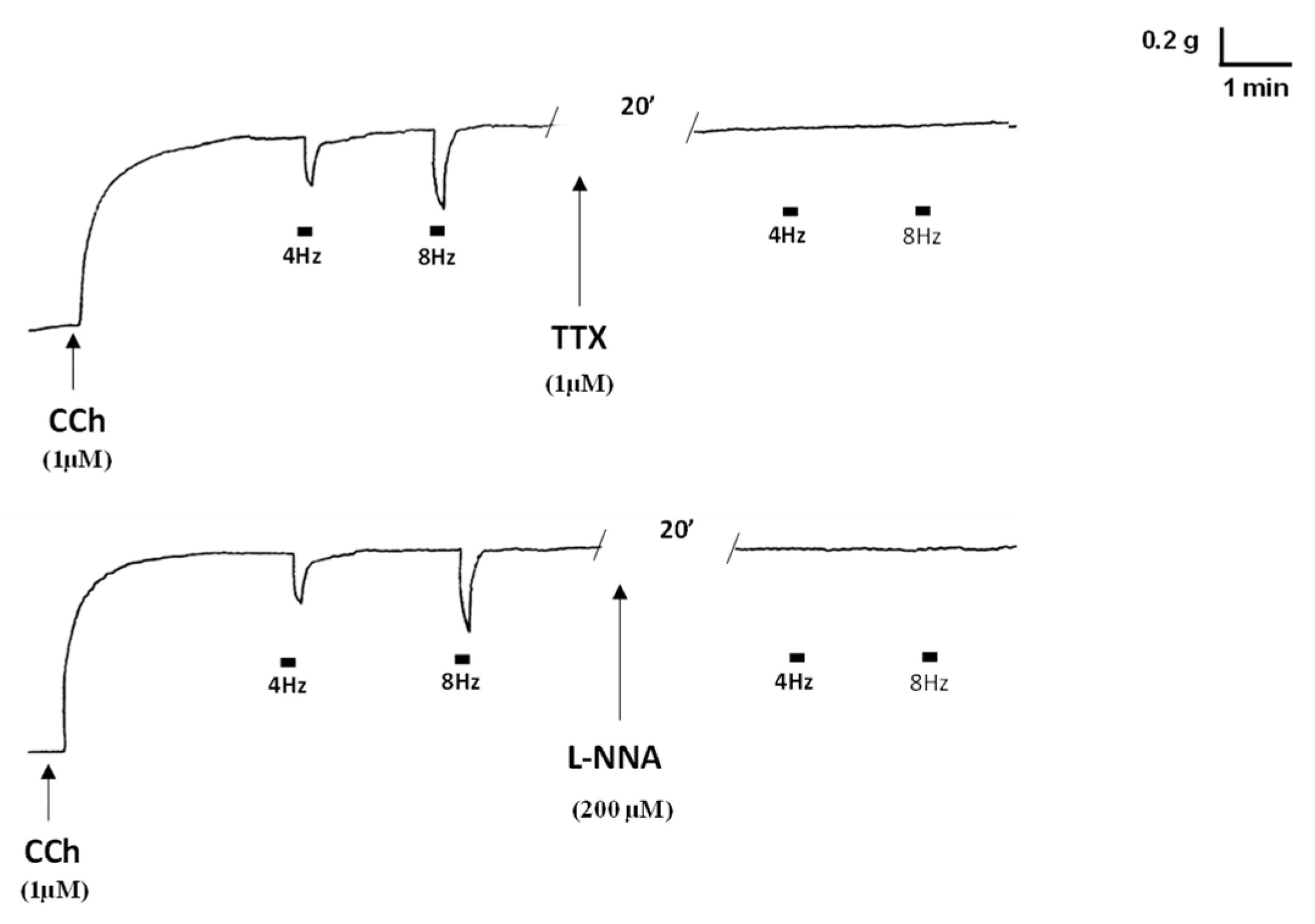 Ijms 23 16113 g001 Ijms 23 16113 g001