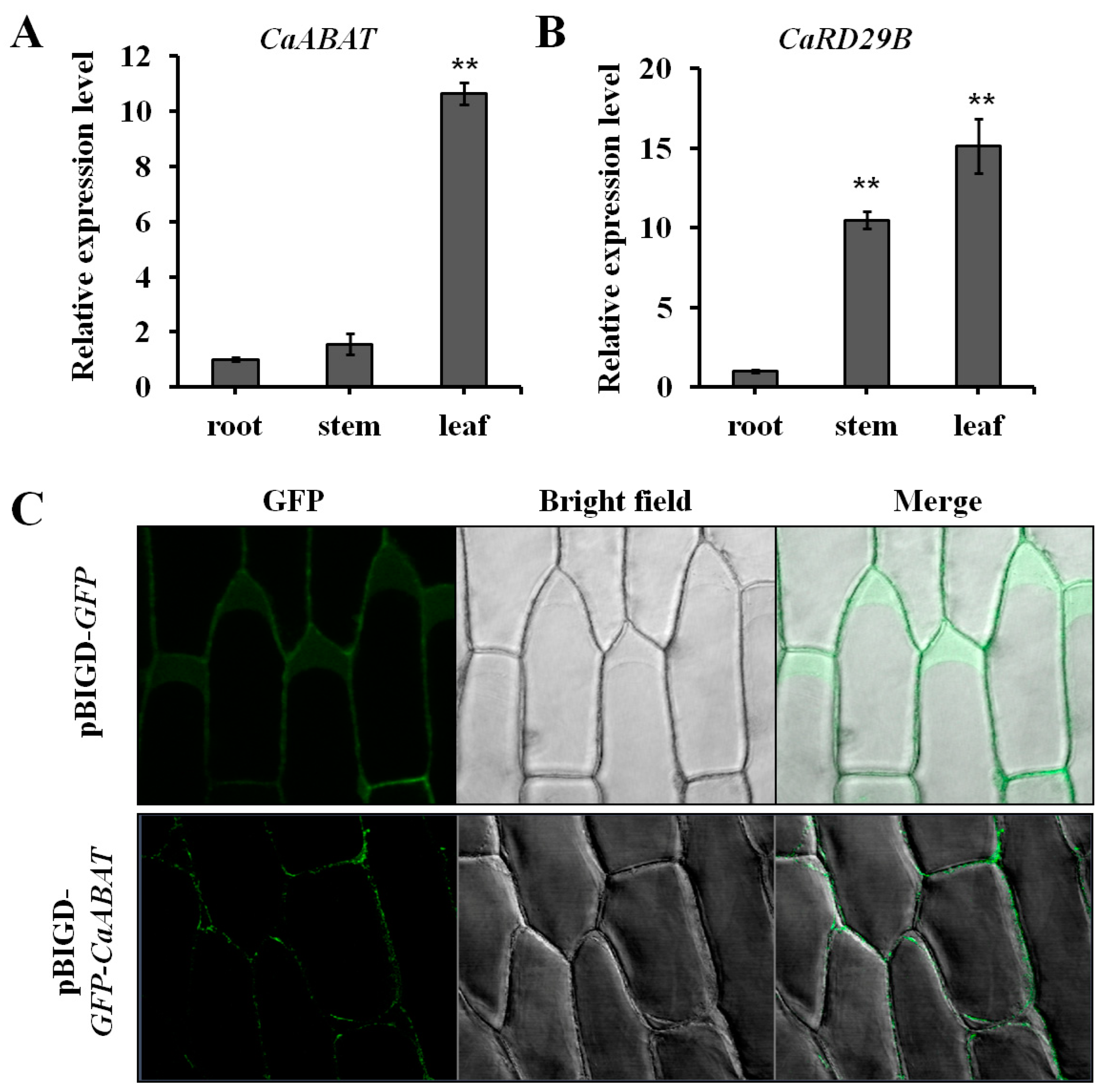 Ijms 23 16120 g003 Ijms 23 16120 g003