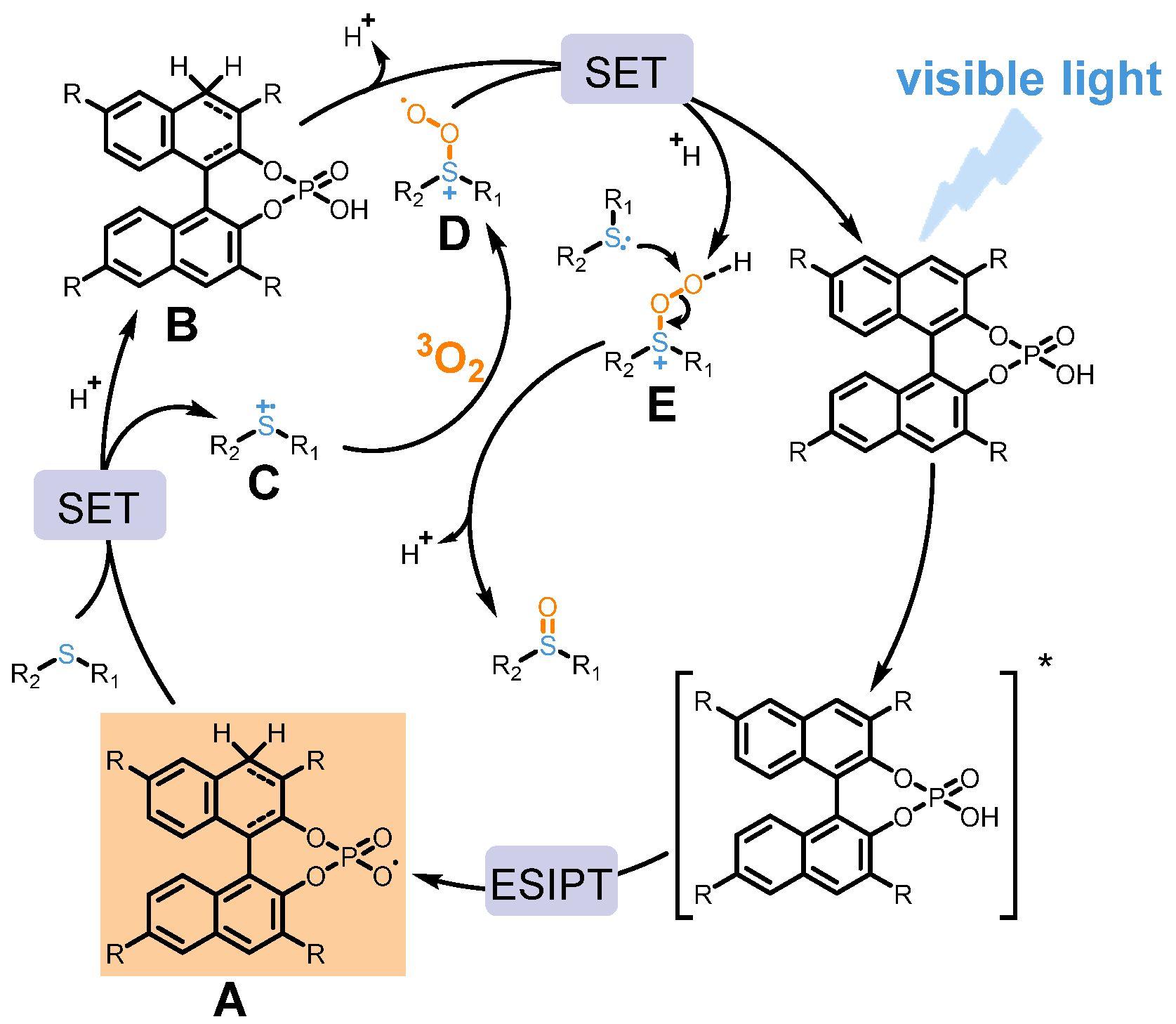 Ijms 23 16121 sch002