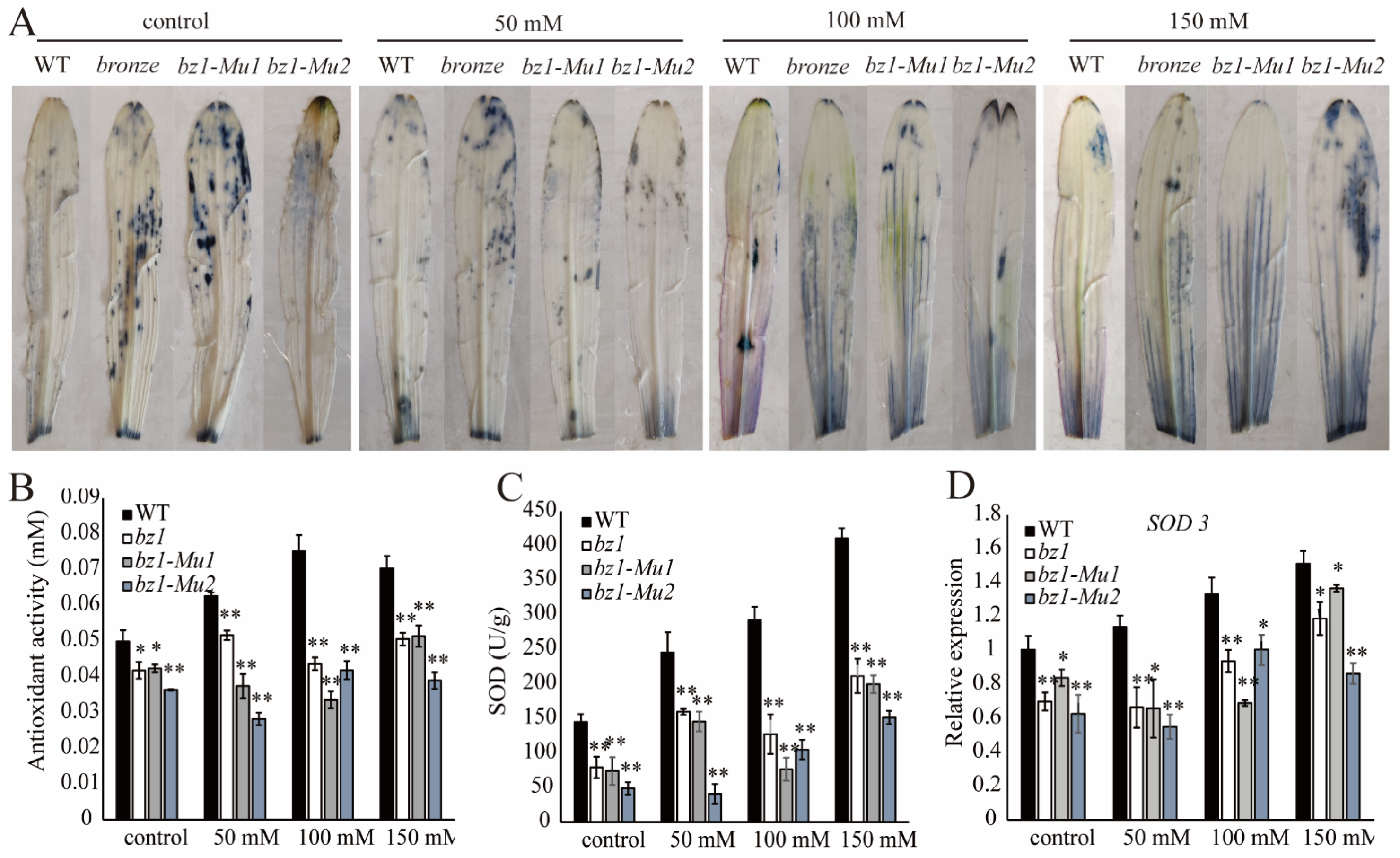 Ijms 23 16123 g007 Ijms 23 16123 g007