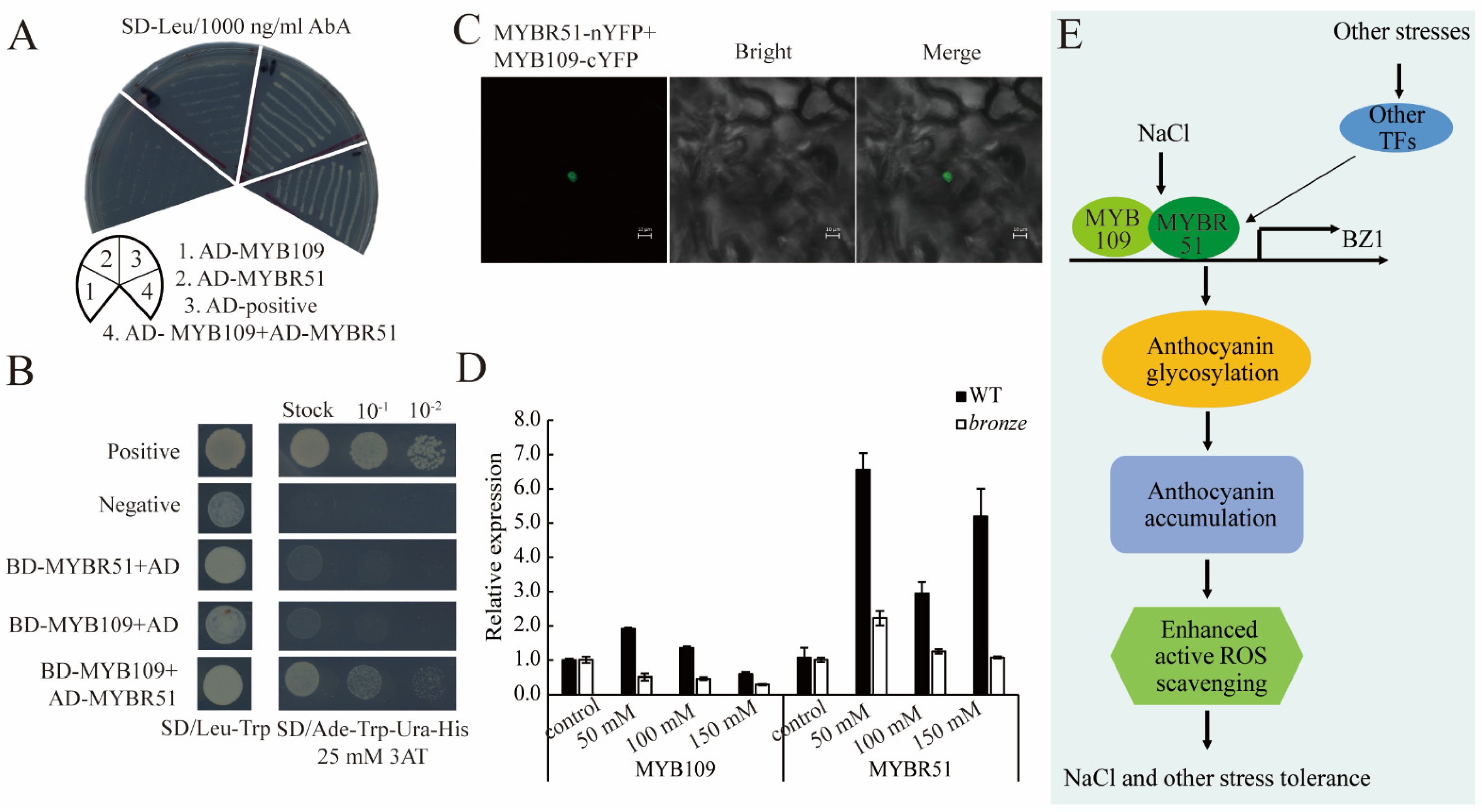 Ijms 23 16123 g008 Ijms 23 16123 g008