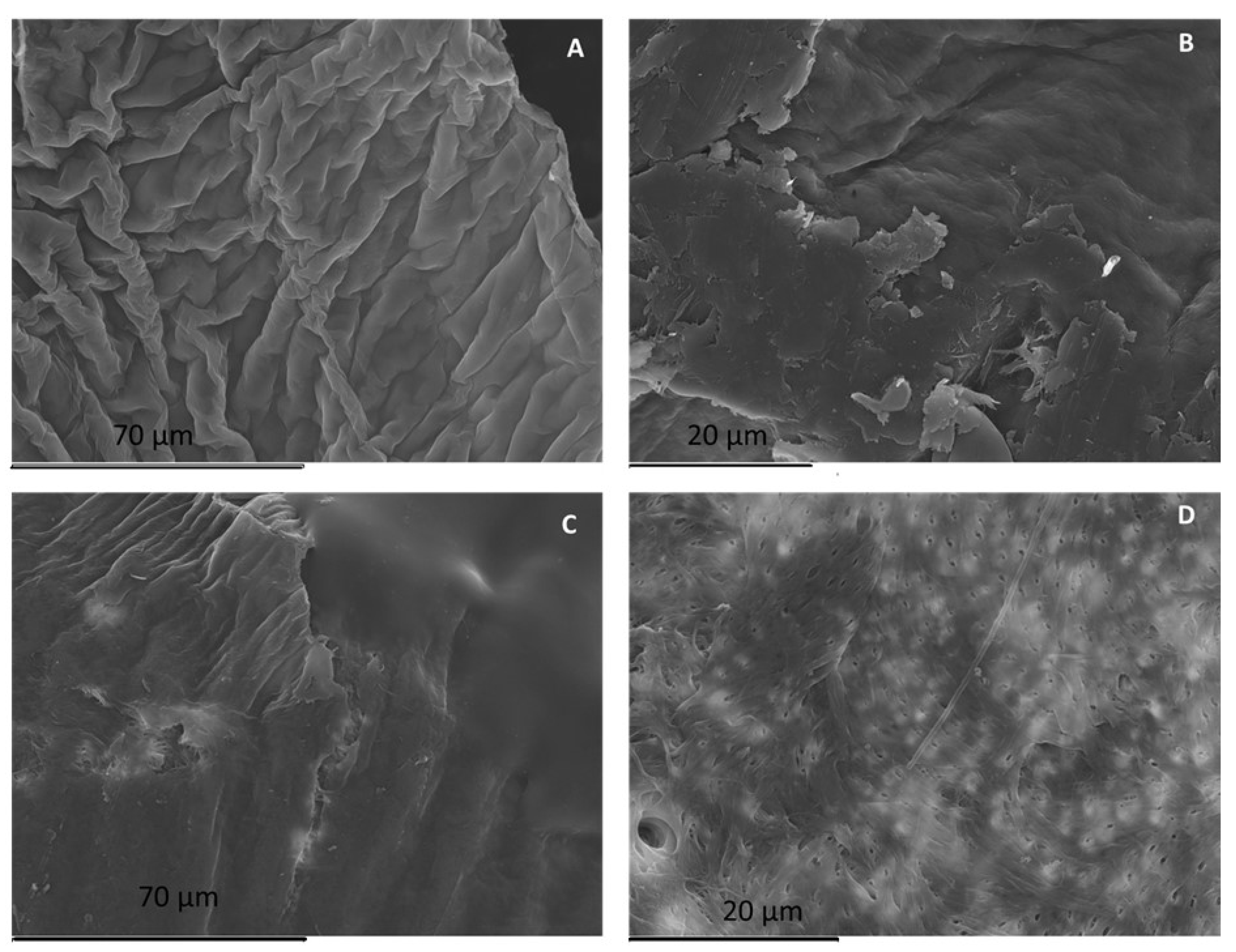 Ijms 23 16125 g004 Ijms 23 16125 g004