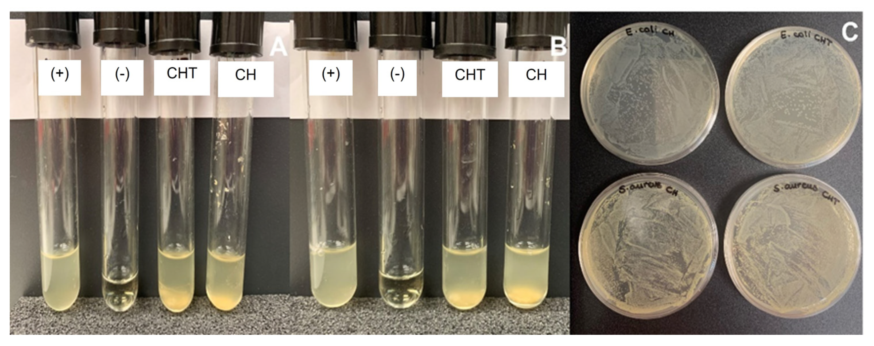 Ijms 23 16125 g005 Ijms 23 16125 g005