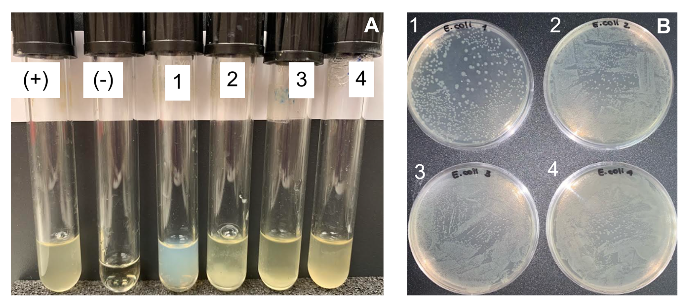 Ijms 23 16125 g007 Ijms 23 16125 g007