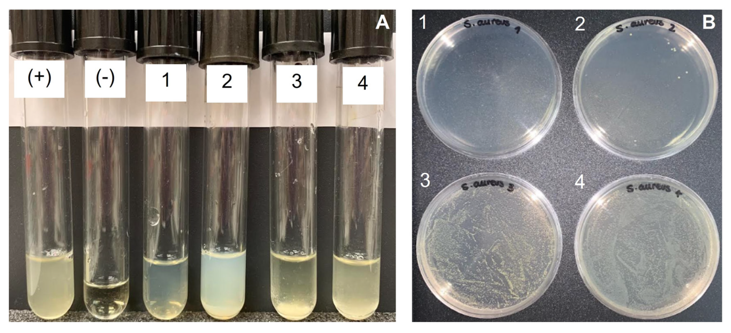 Ijms 23 16125 g009 Ijms 23 16125 g009