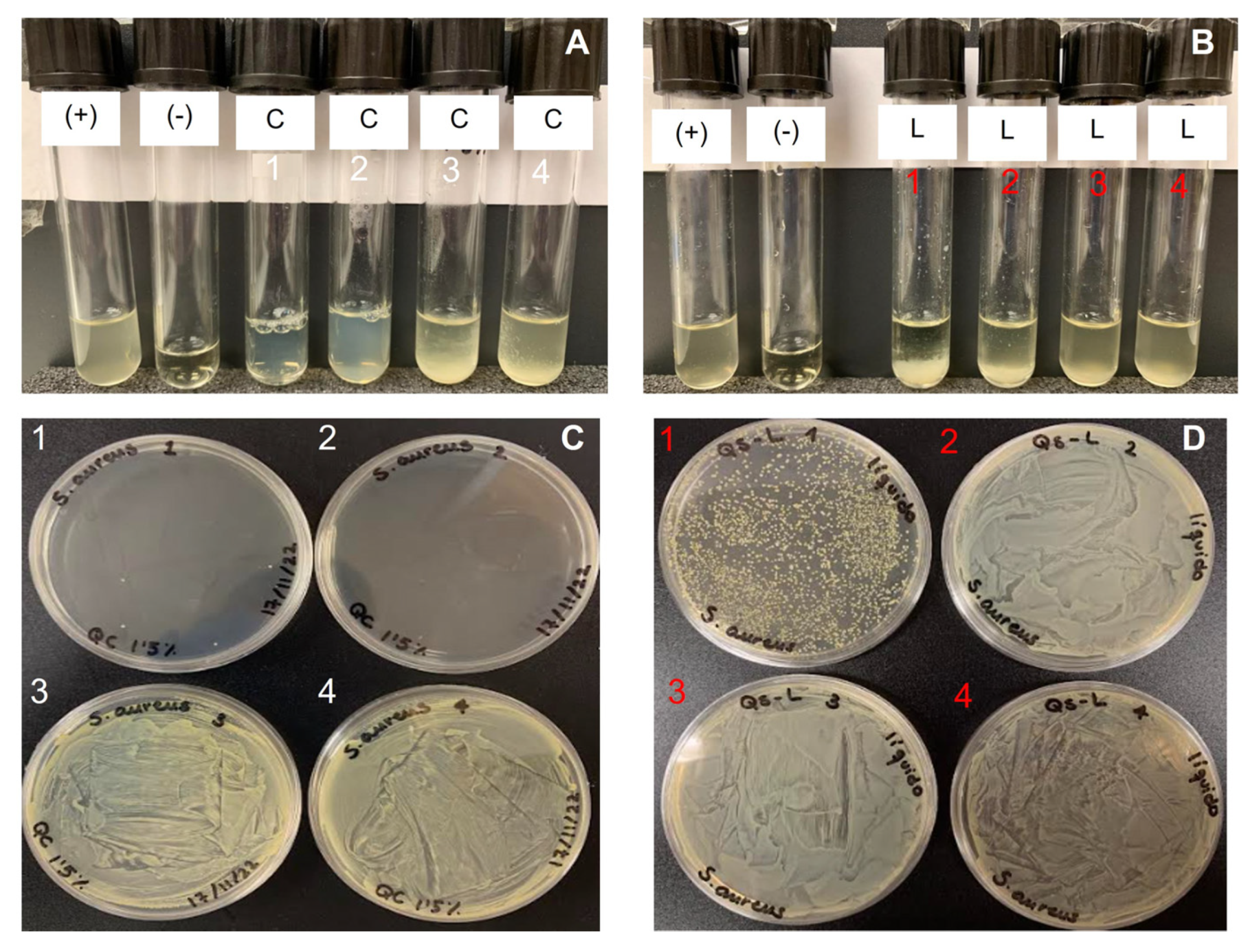 Ijms 23 16125 g010 Ijms 23 16125 g010