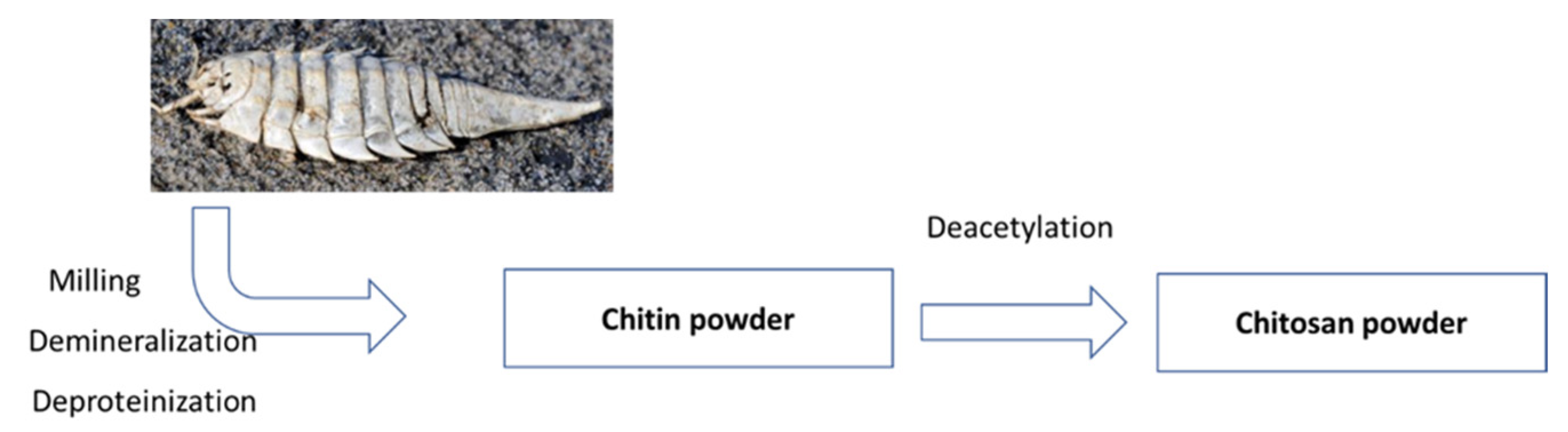 Ijms 23 16125 sch001 Ijms 23 16125 sch001