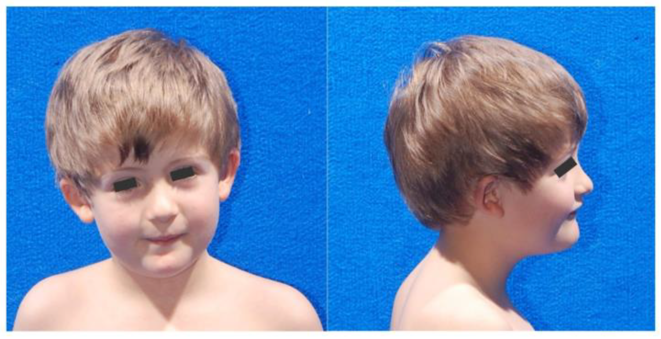 Ijms 23 16130 g001 Ijms 23 16130 g001