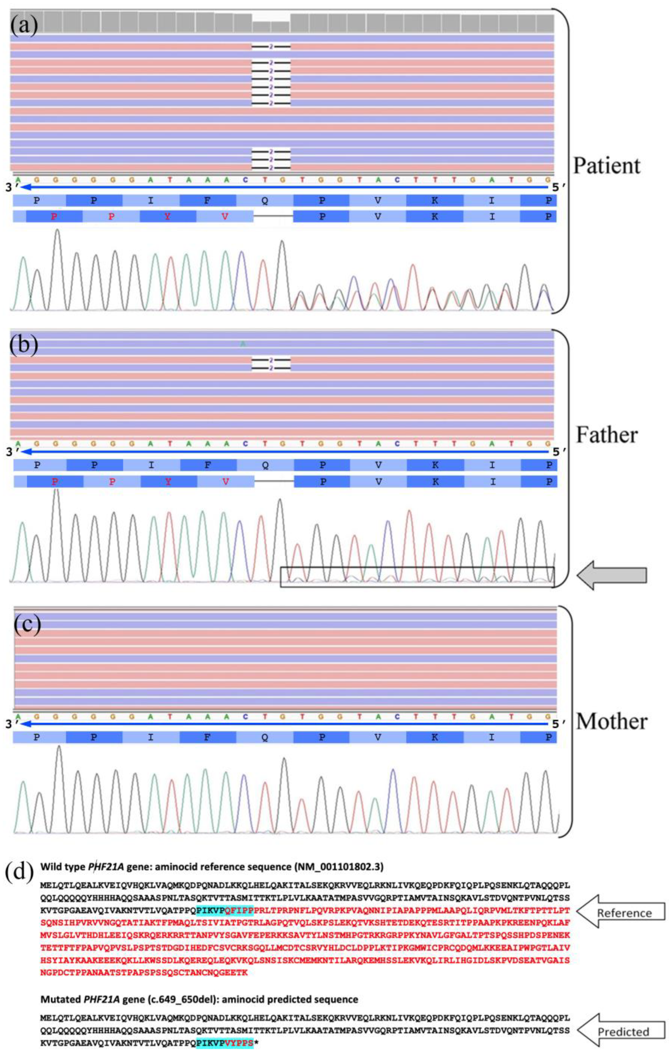 Ijms 23 16130 g002 Ijms 23 16130 g002