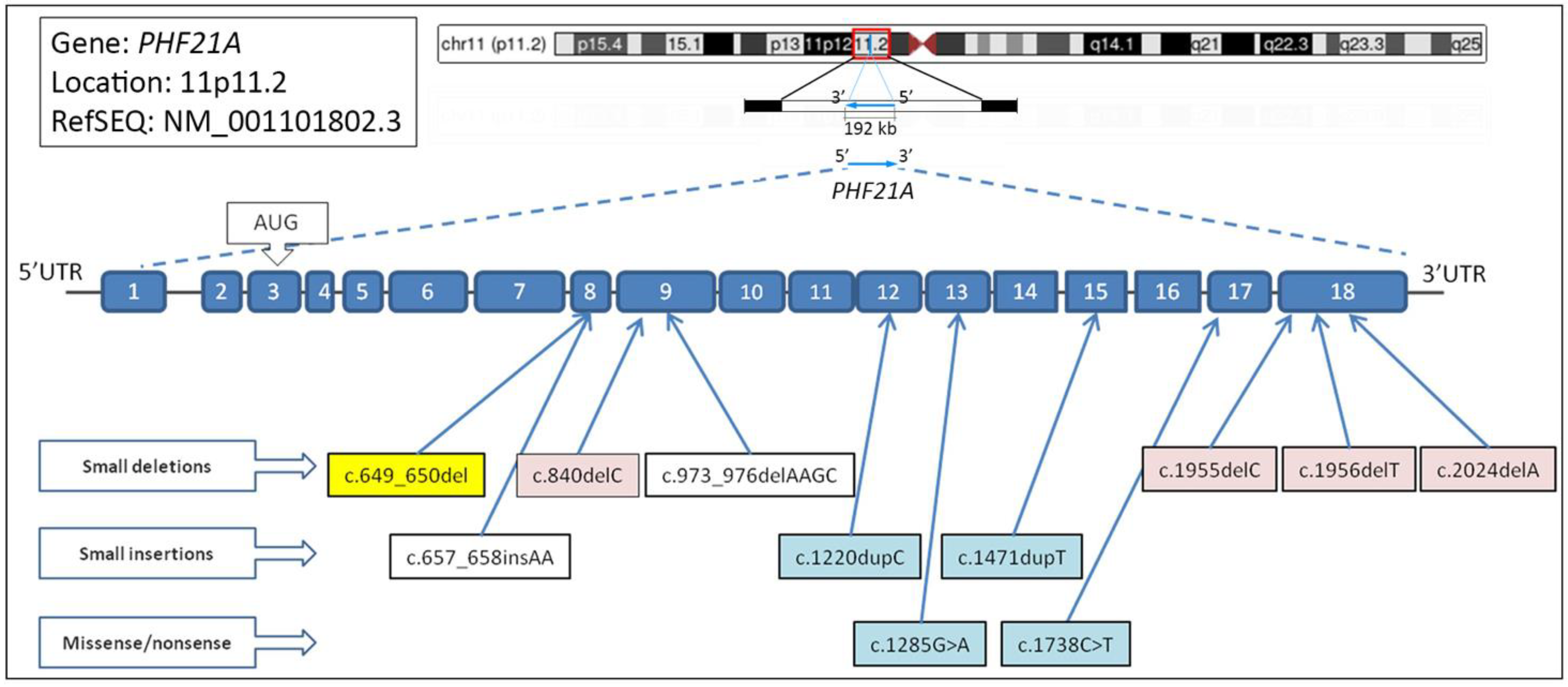 Ijms 23 16130 g003 Ijms 23 16130 g003