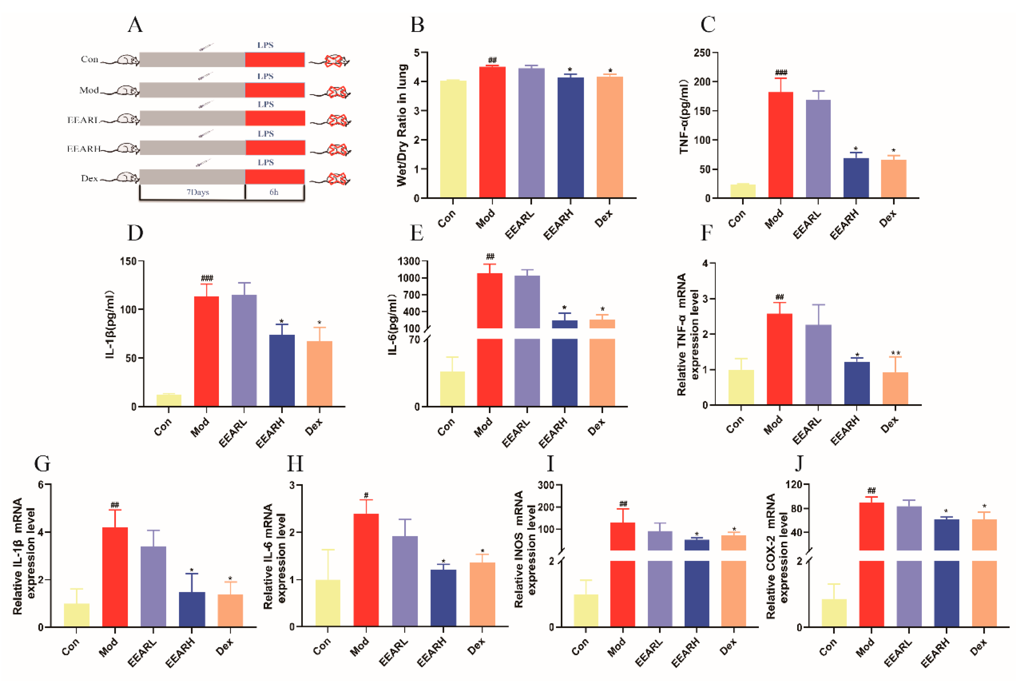 Ijms 23 16134 g002 Ijms 23 16134 g002