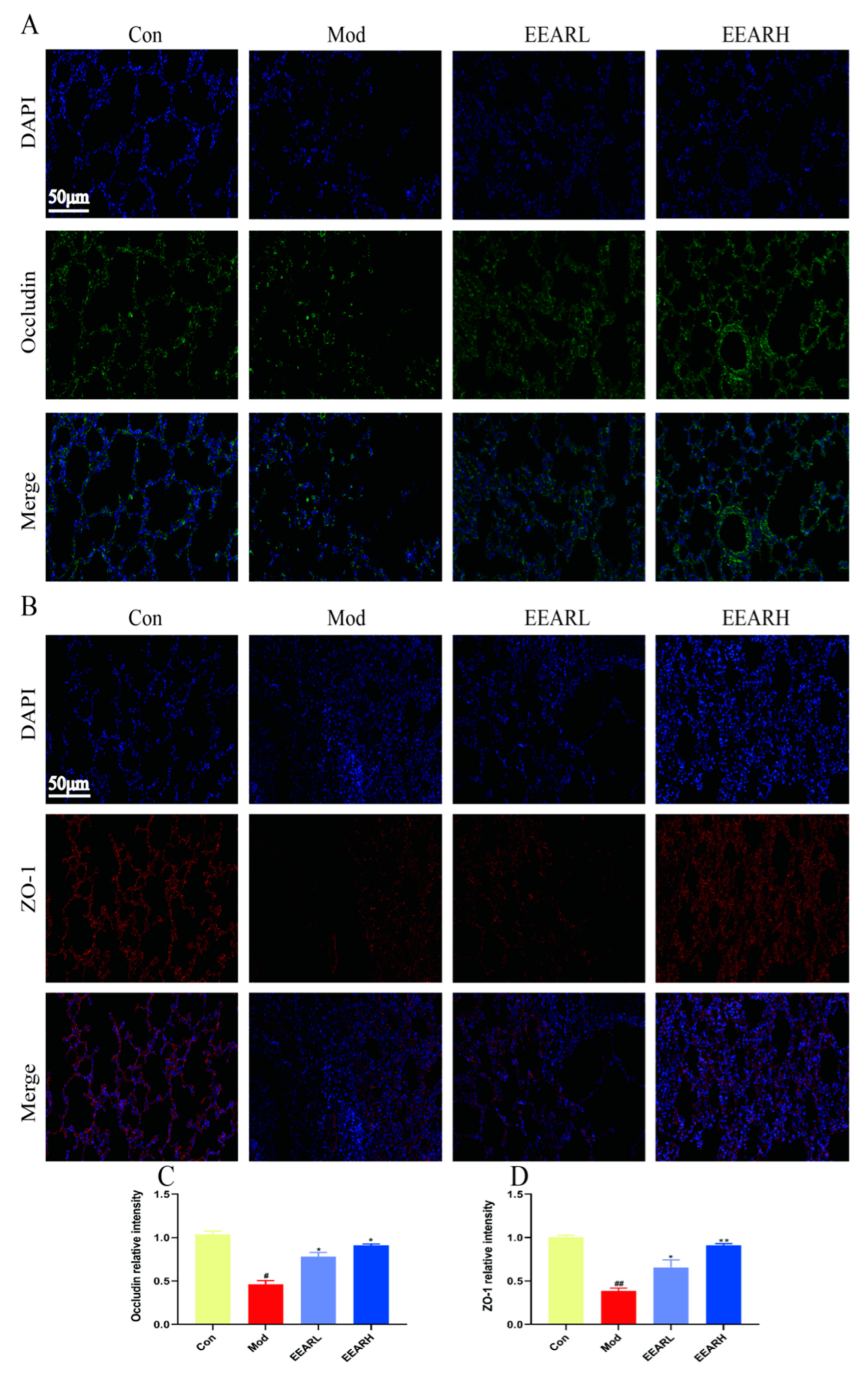 Ijms 23 16134 g004 Ijms 23 16134 g004