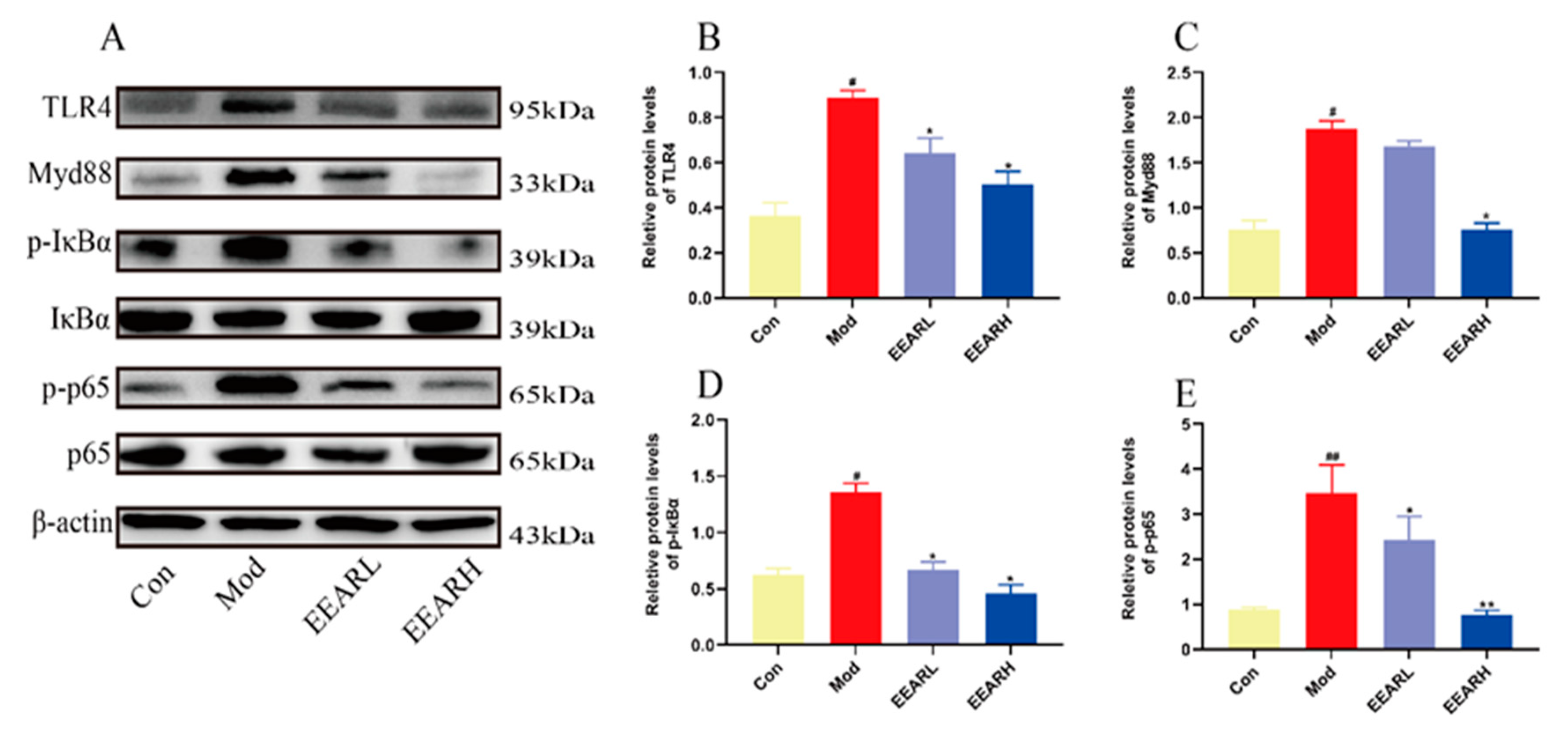 Ijms 23 16134 g005 Ijms 23 16134 g005