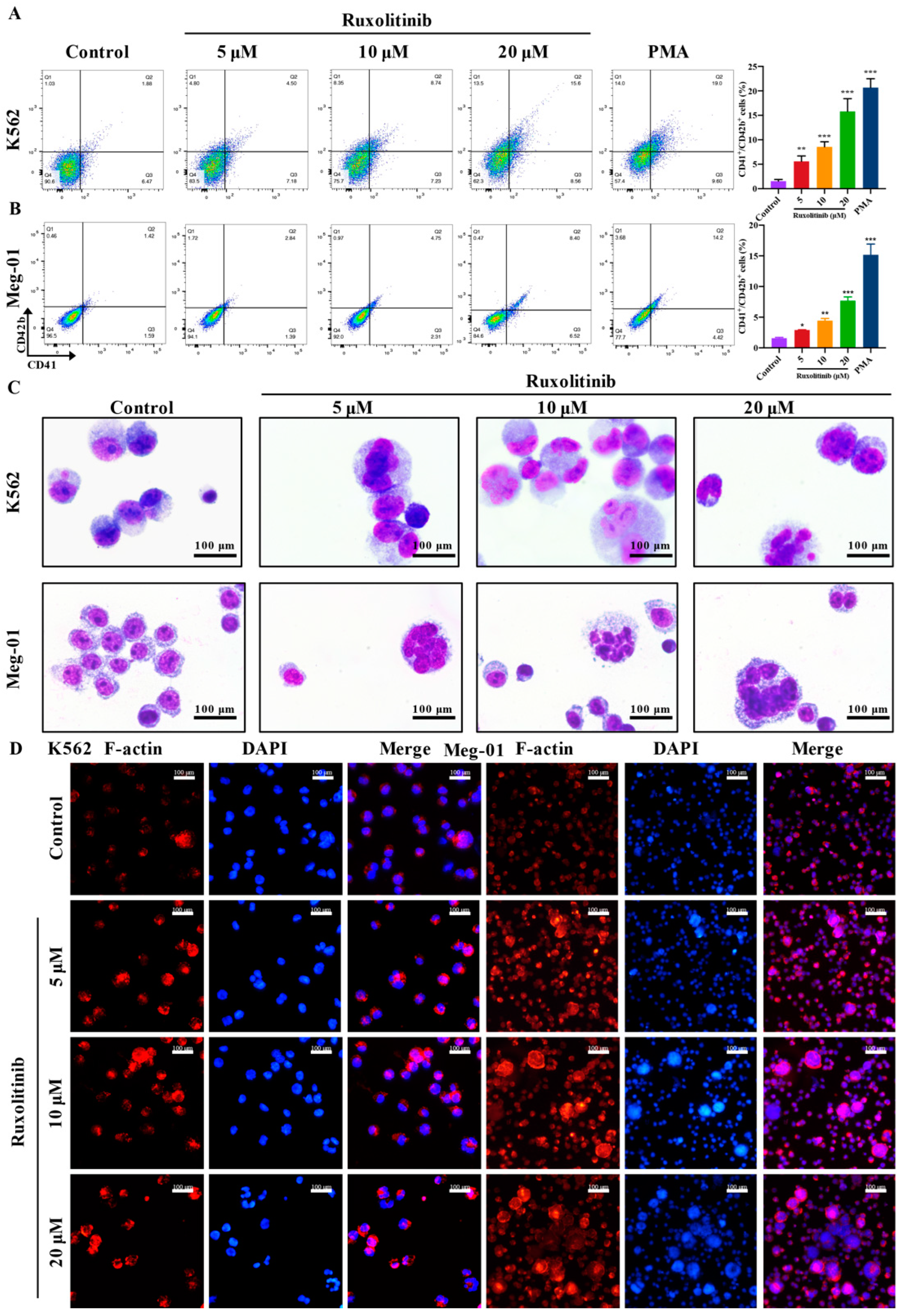 Ijms 23 16137 g002 Ijms 23 16137 g002
