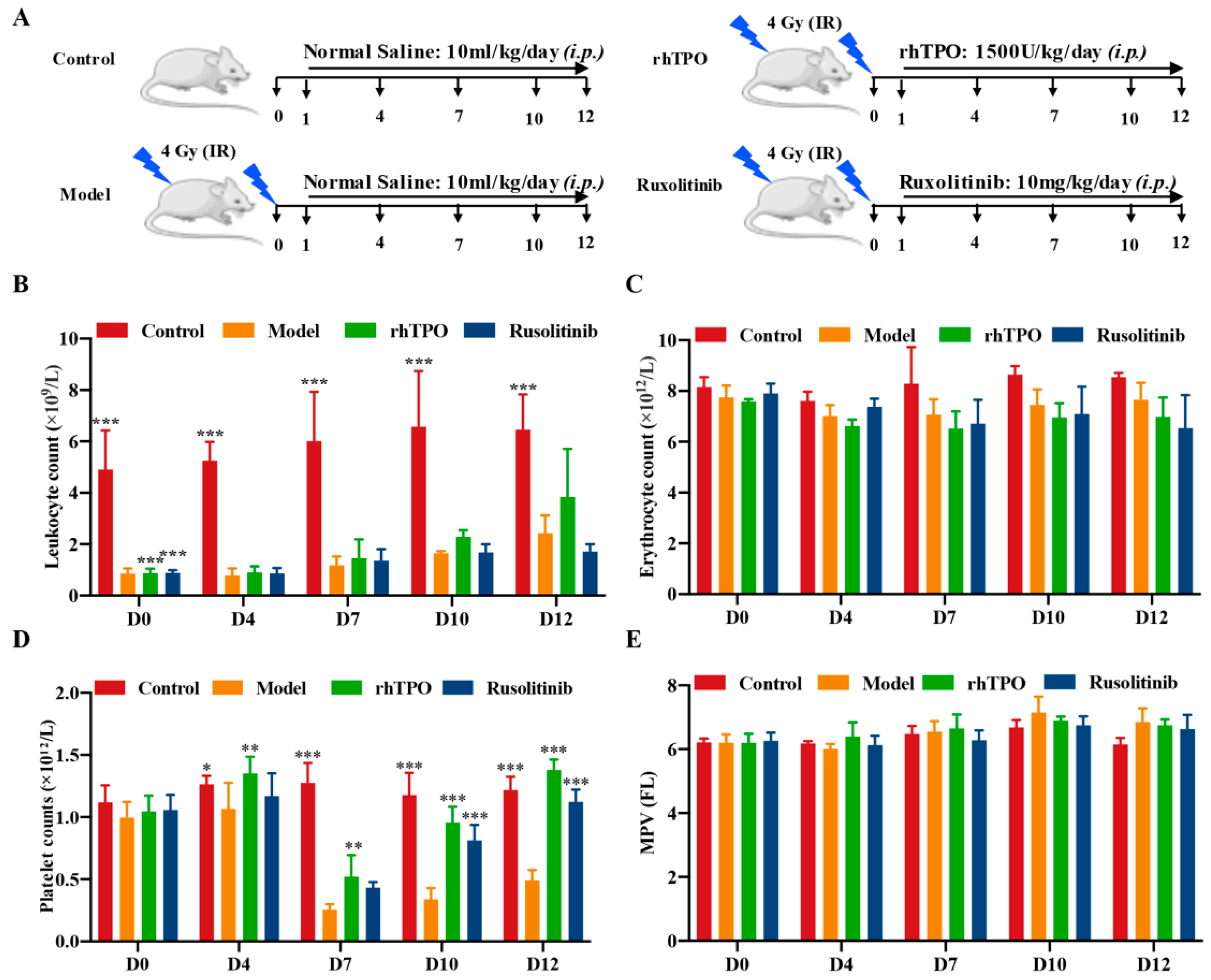 Ijms 23 16137 g003 Ijms 23 16137 g003
