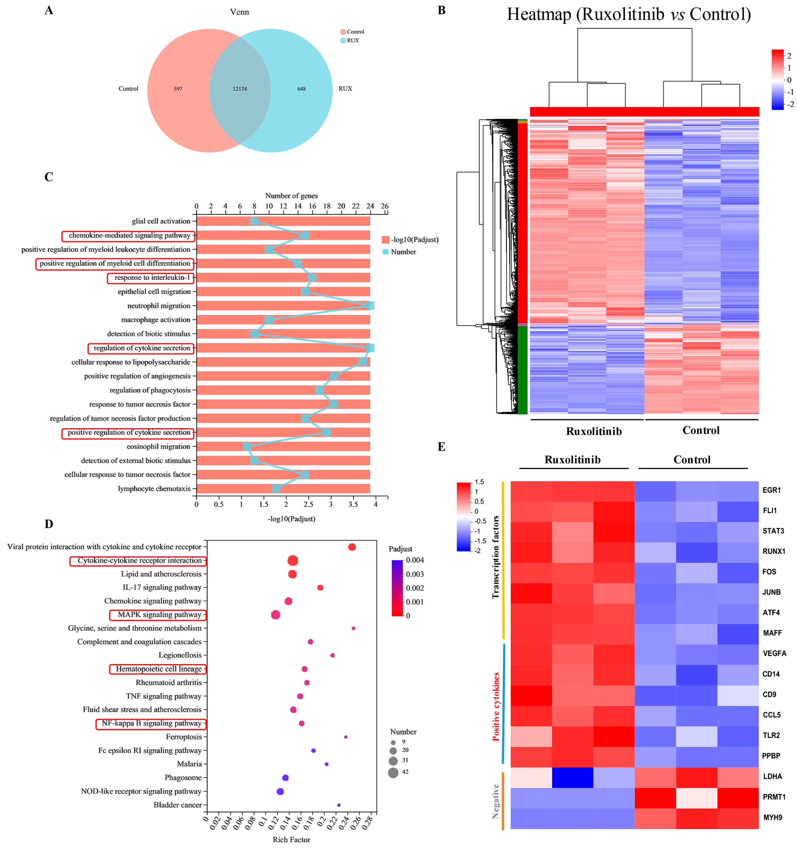 Ijms 23 16137 g007 Ijms 23 16137 g007