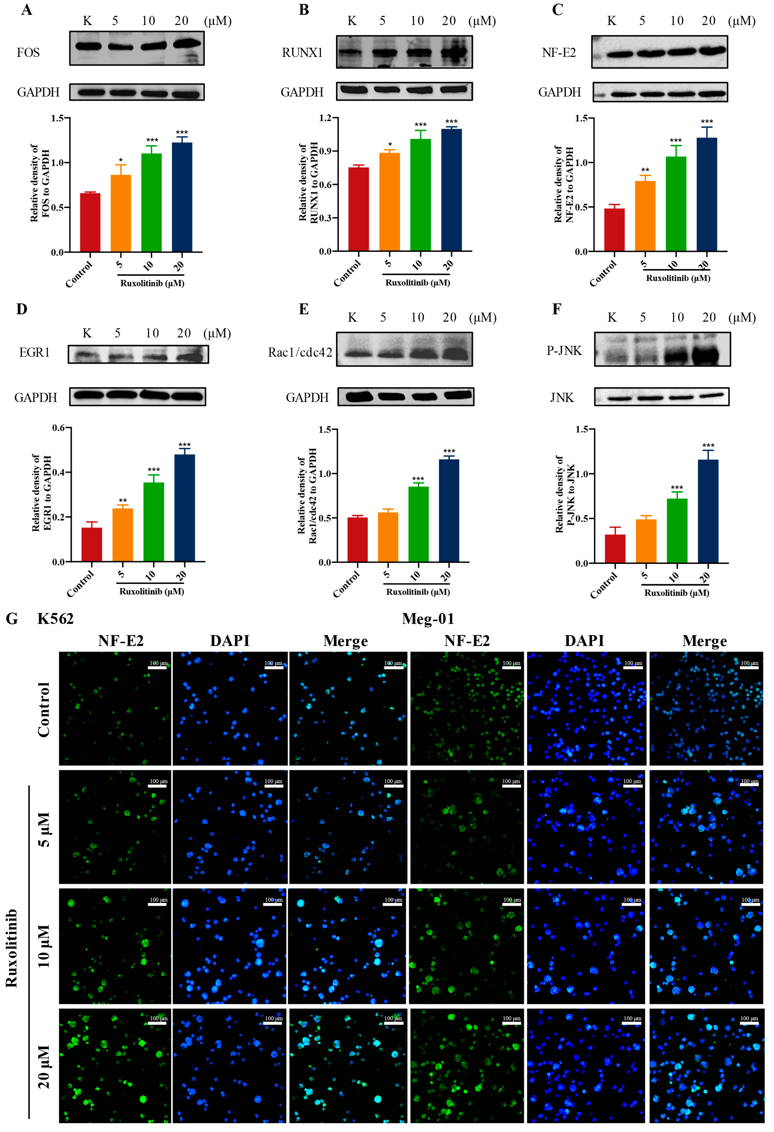 Ijms 23 16137 g009 Ijms 23 16137 g009