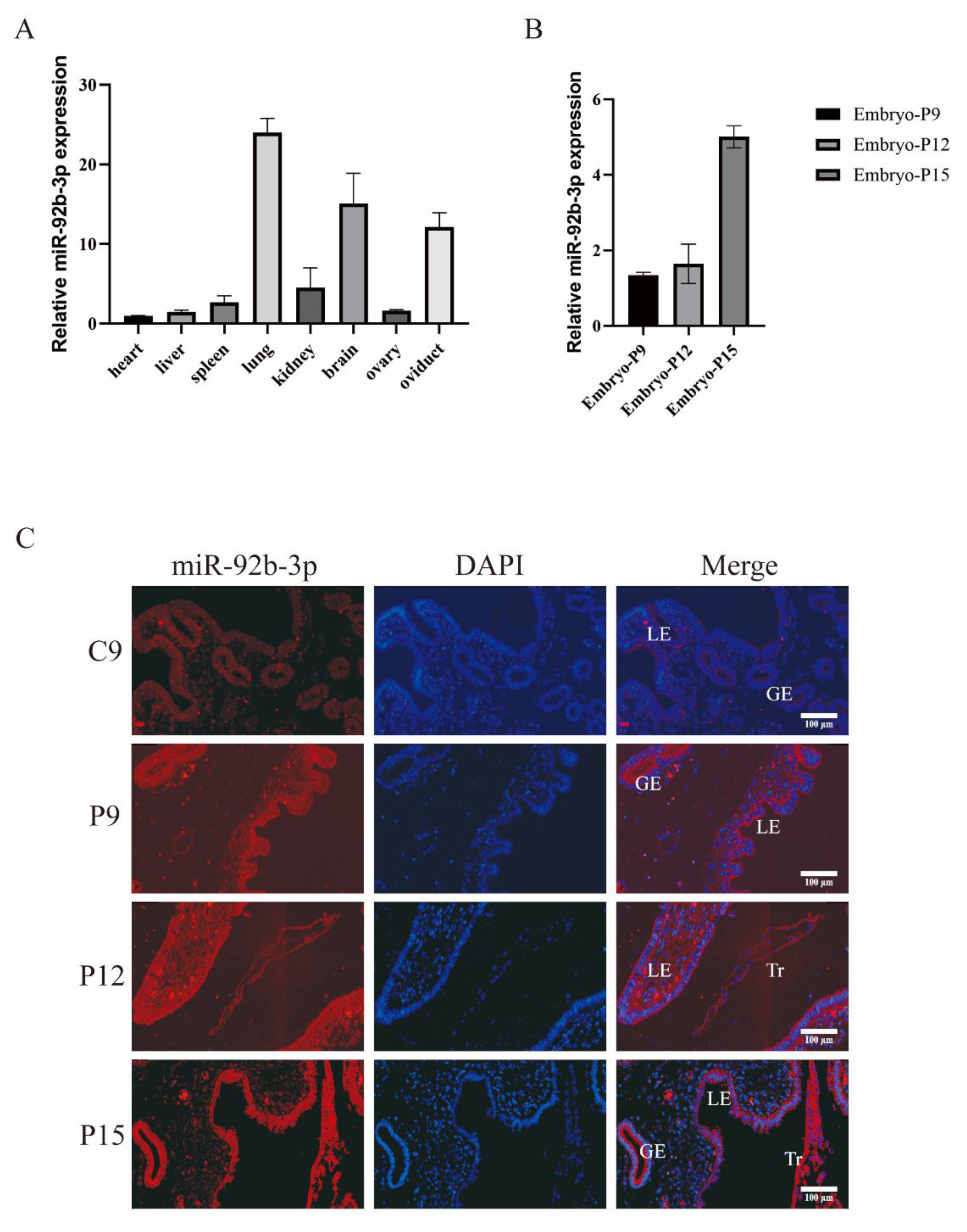 Ijms 23 16138 g001 Ijms 23 16138 g001