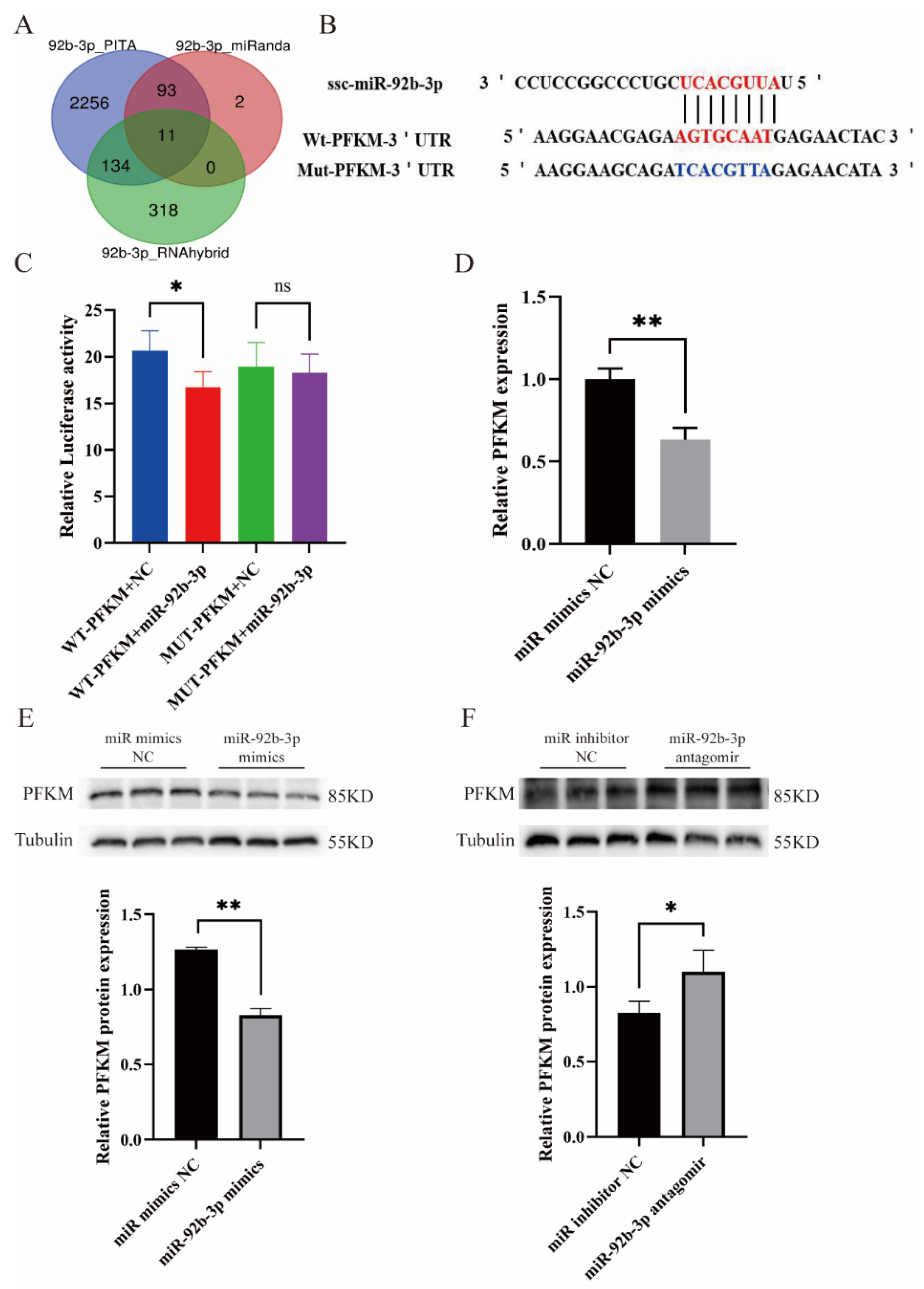 Ijms 23 16138 g003 Ijms 23 16138 g003