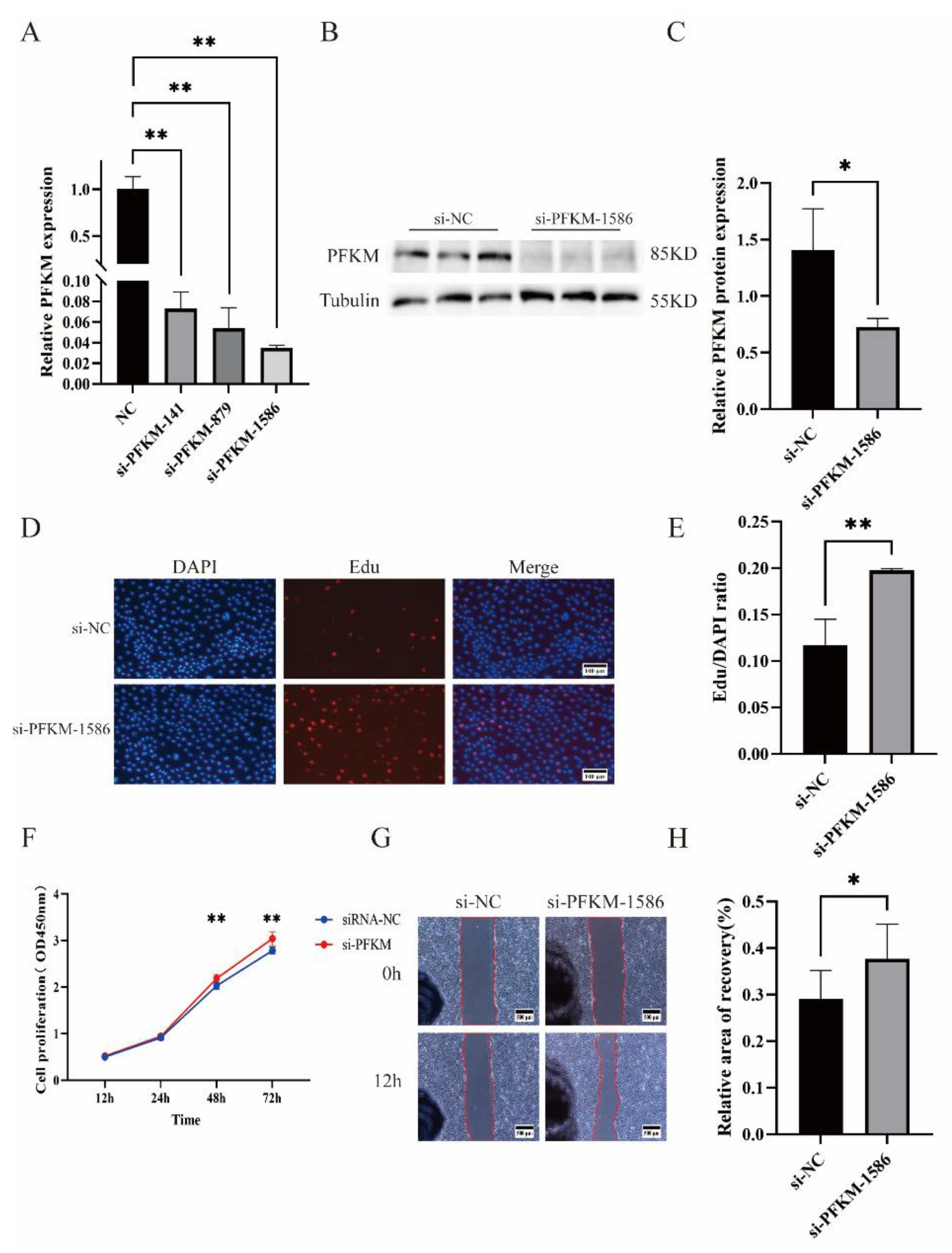 Ijms 23 16138 g004 Ijms 23 16138 g004