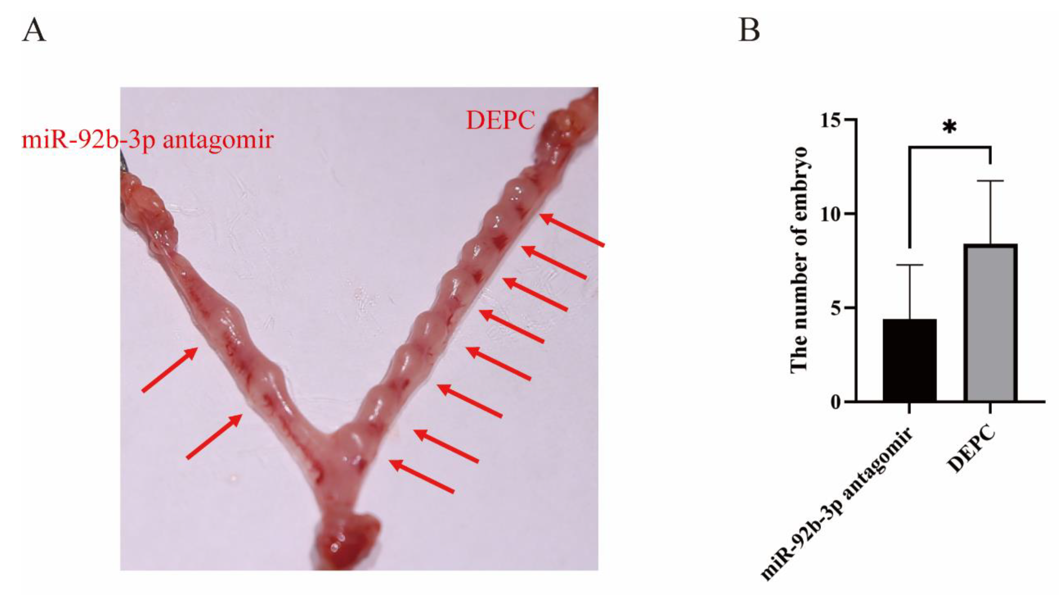 Ijms 23 16138 g006 Ijms 23 16138 g006