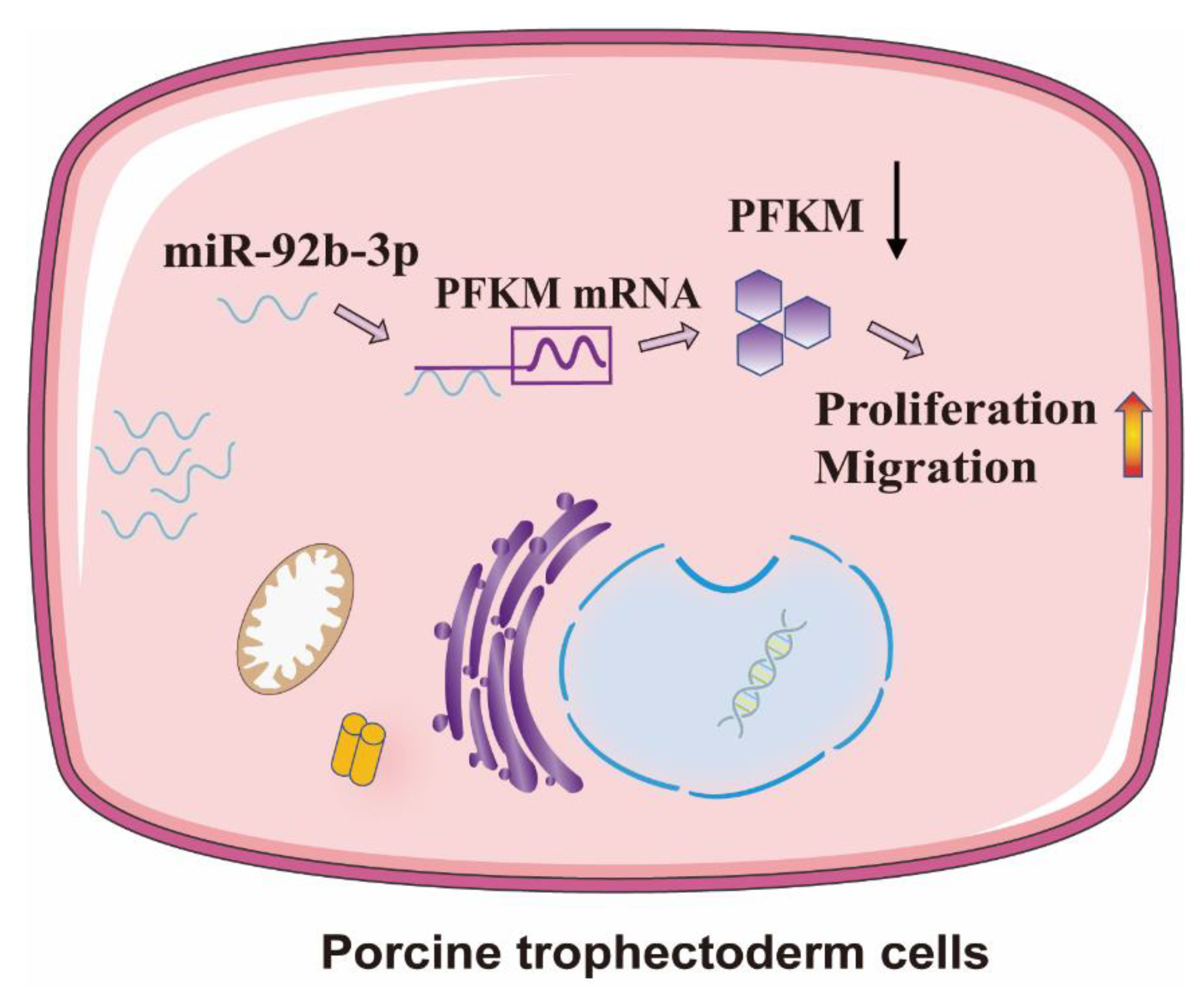 Ijms 23 16138 g007 Ijms 23 16138 g007