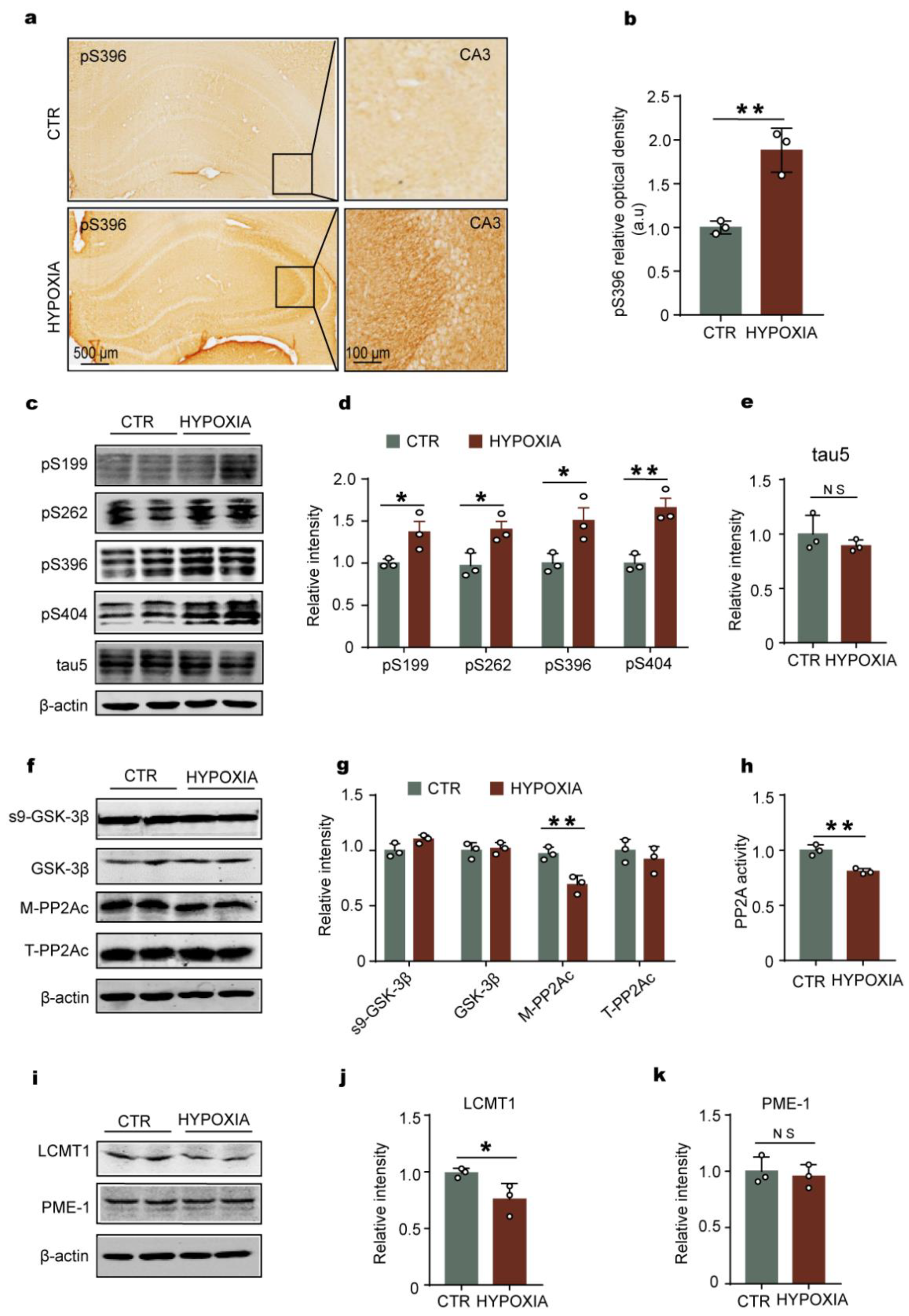 Ijms 23 16140 g002 Ijms 23 16140 g002