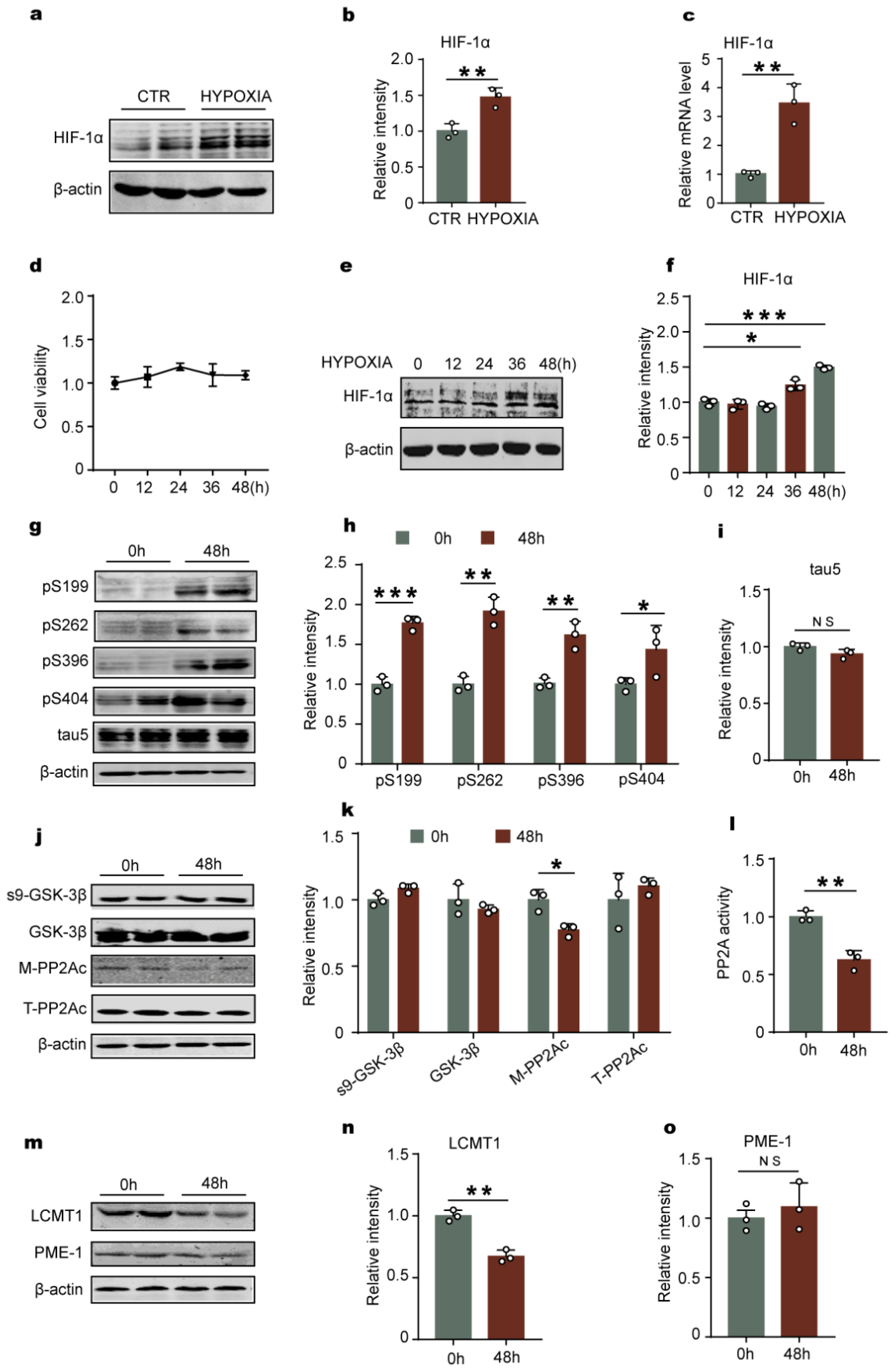 Ijms 23 16140 g003 Ijms 23 16140 g003