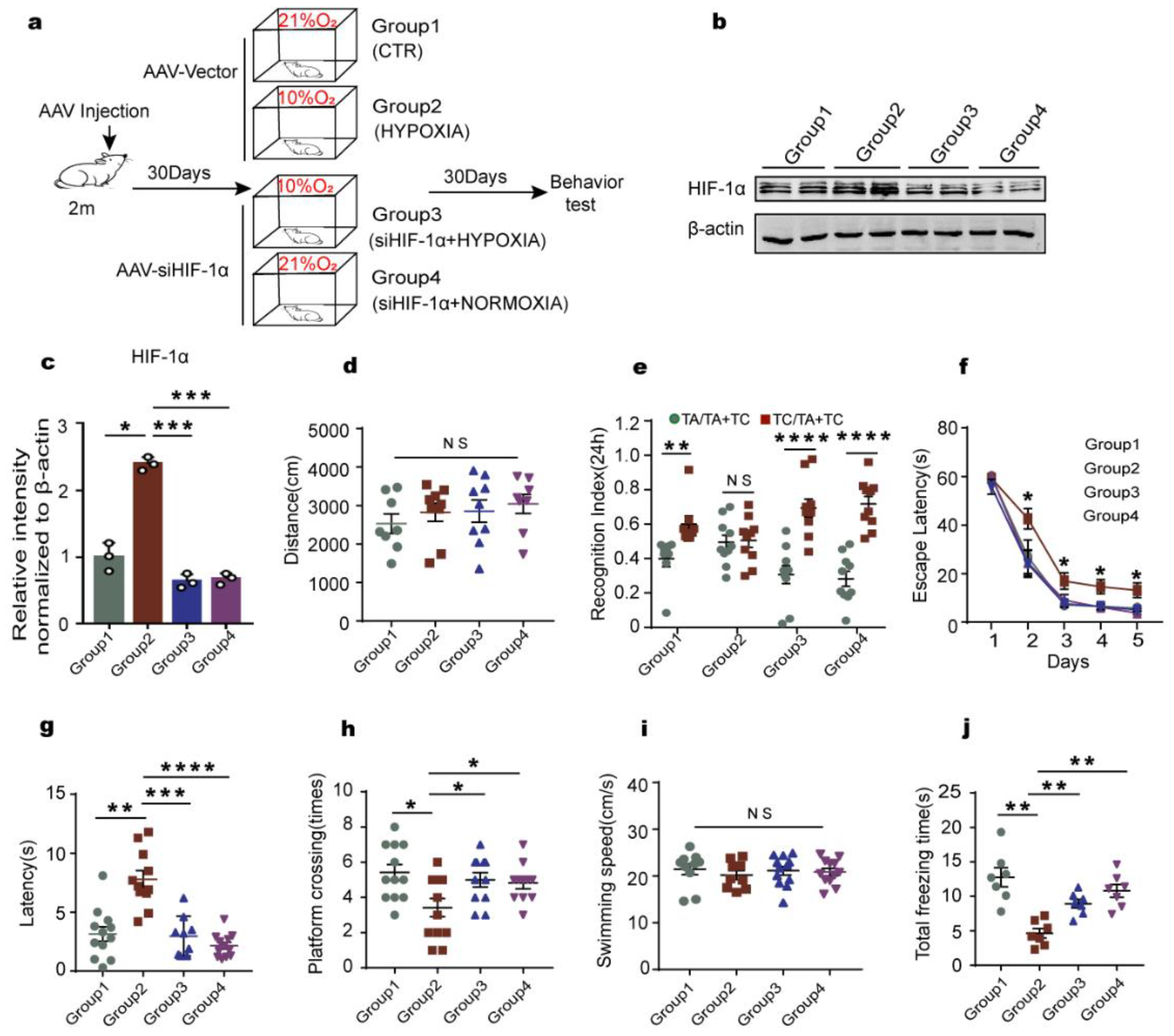 Ijms 23 16140 g005 Ijms 23 16140 g005