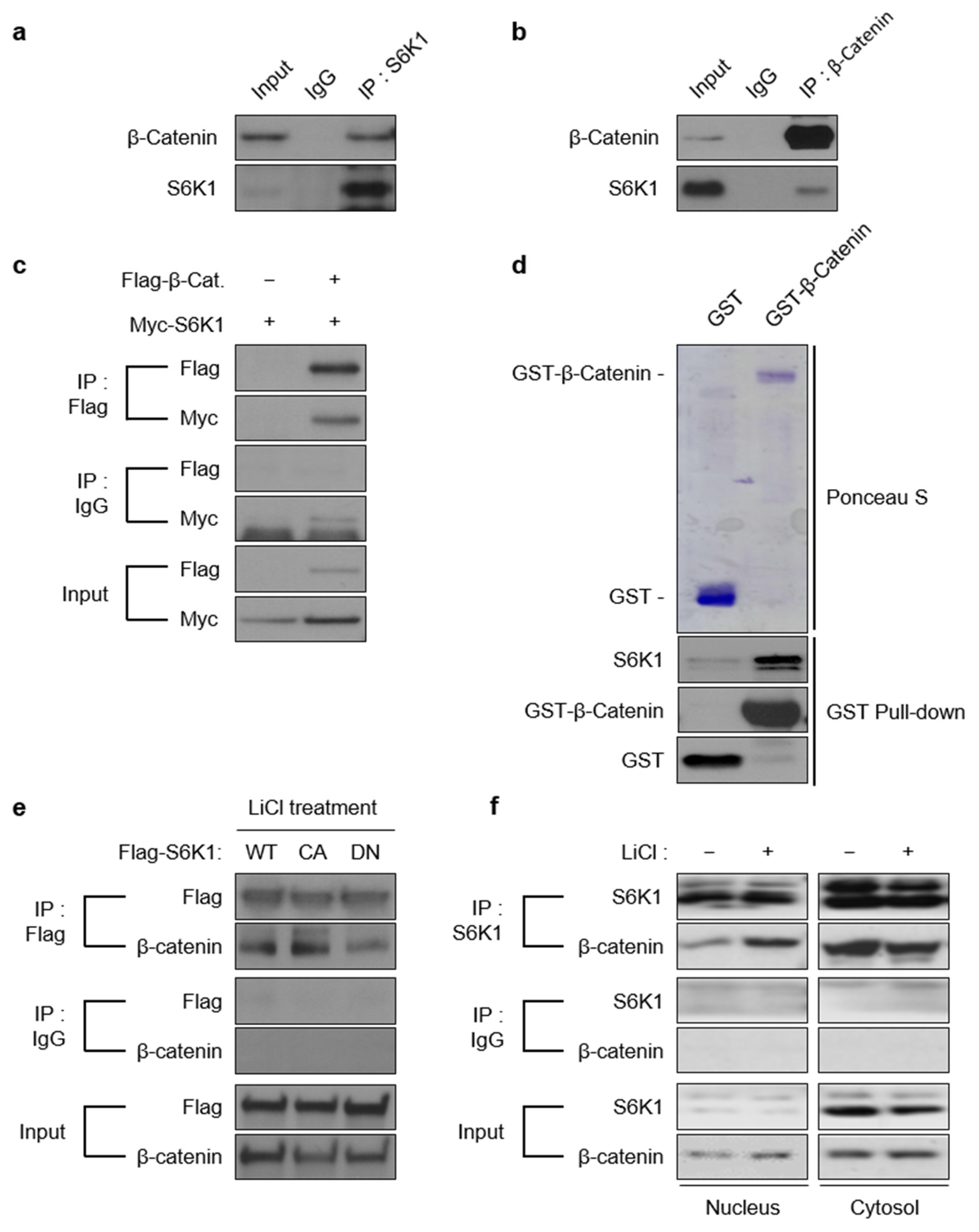 Ijms 23 16143 g002 Ijms 23 16143 g002
