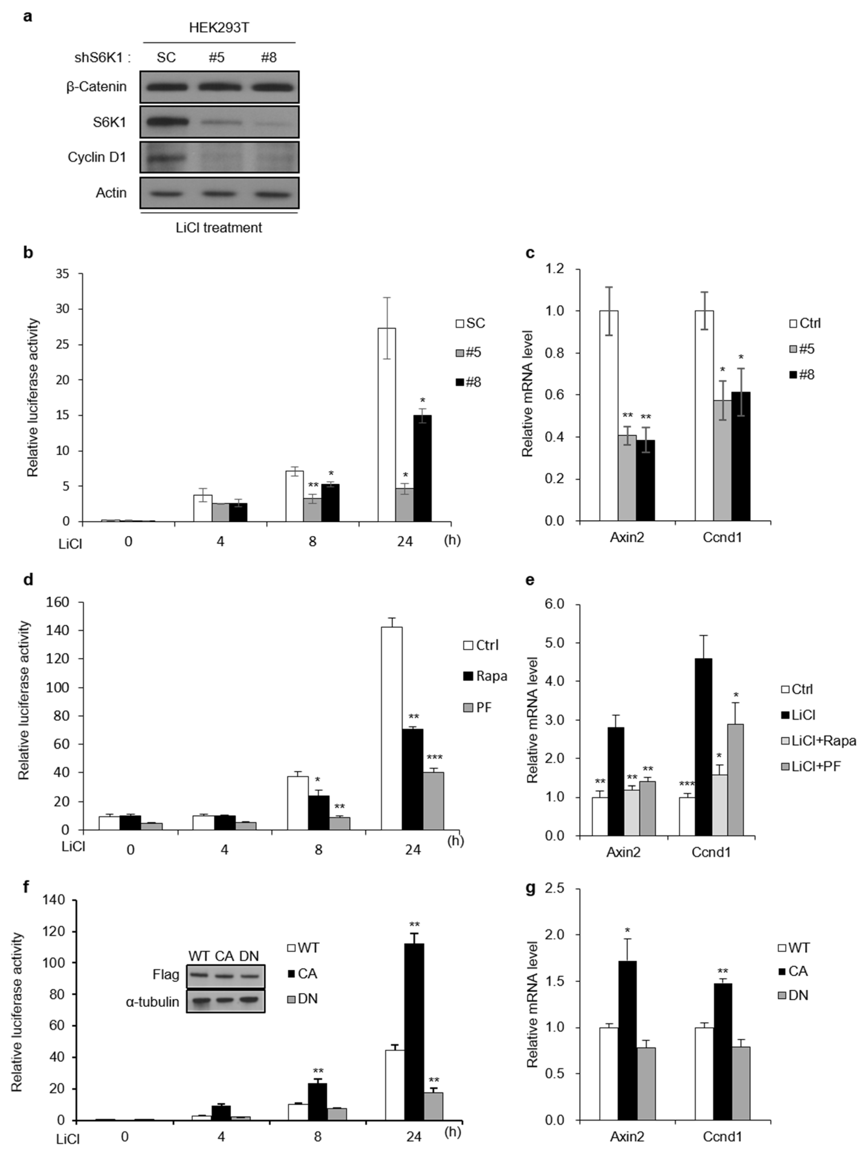 Ijms 23 16143 g003 Ijms 23 16143 g003