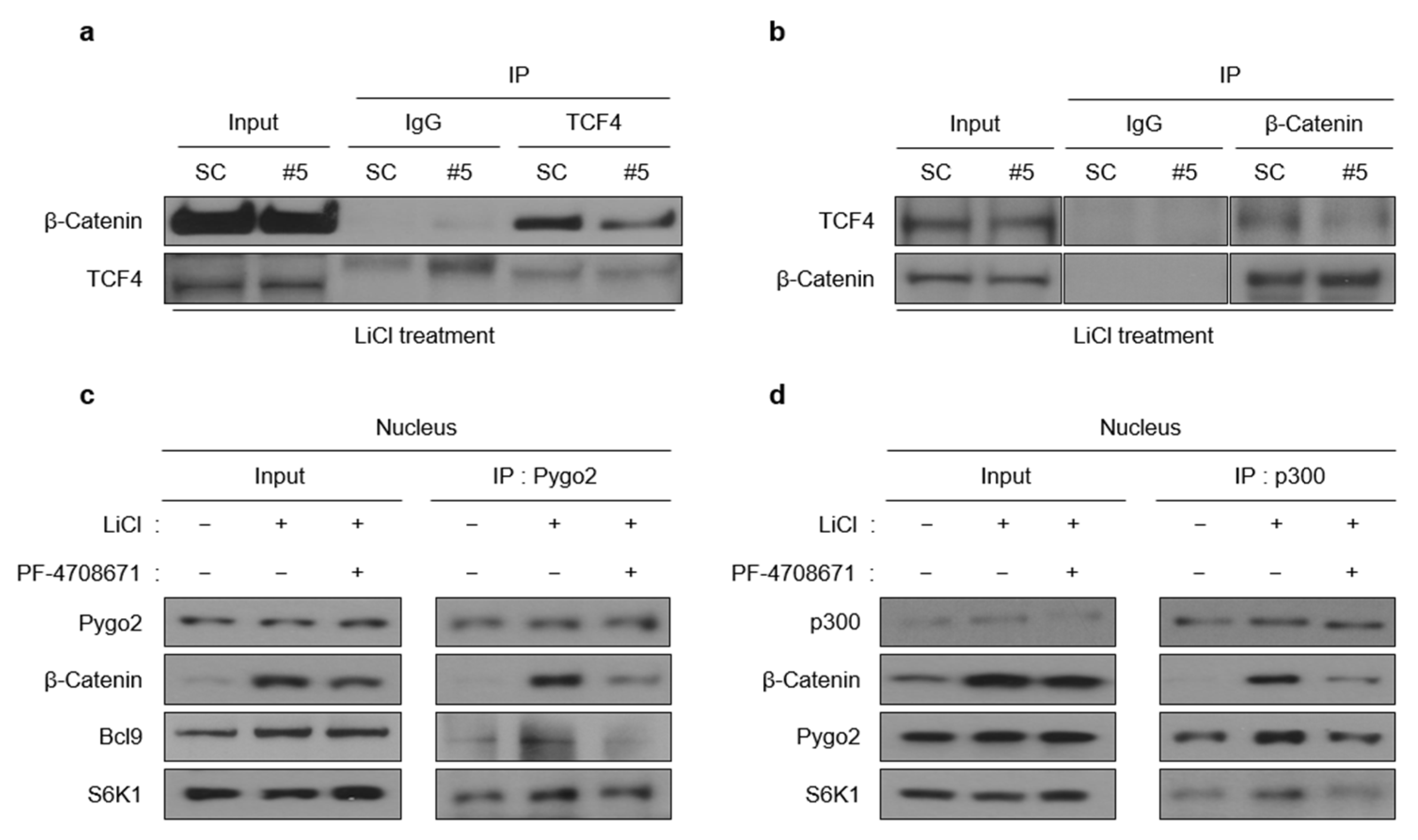 Ijms 23 16143 g005 Ijms 23 16143 g005