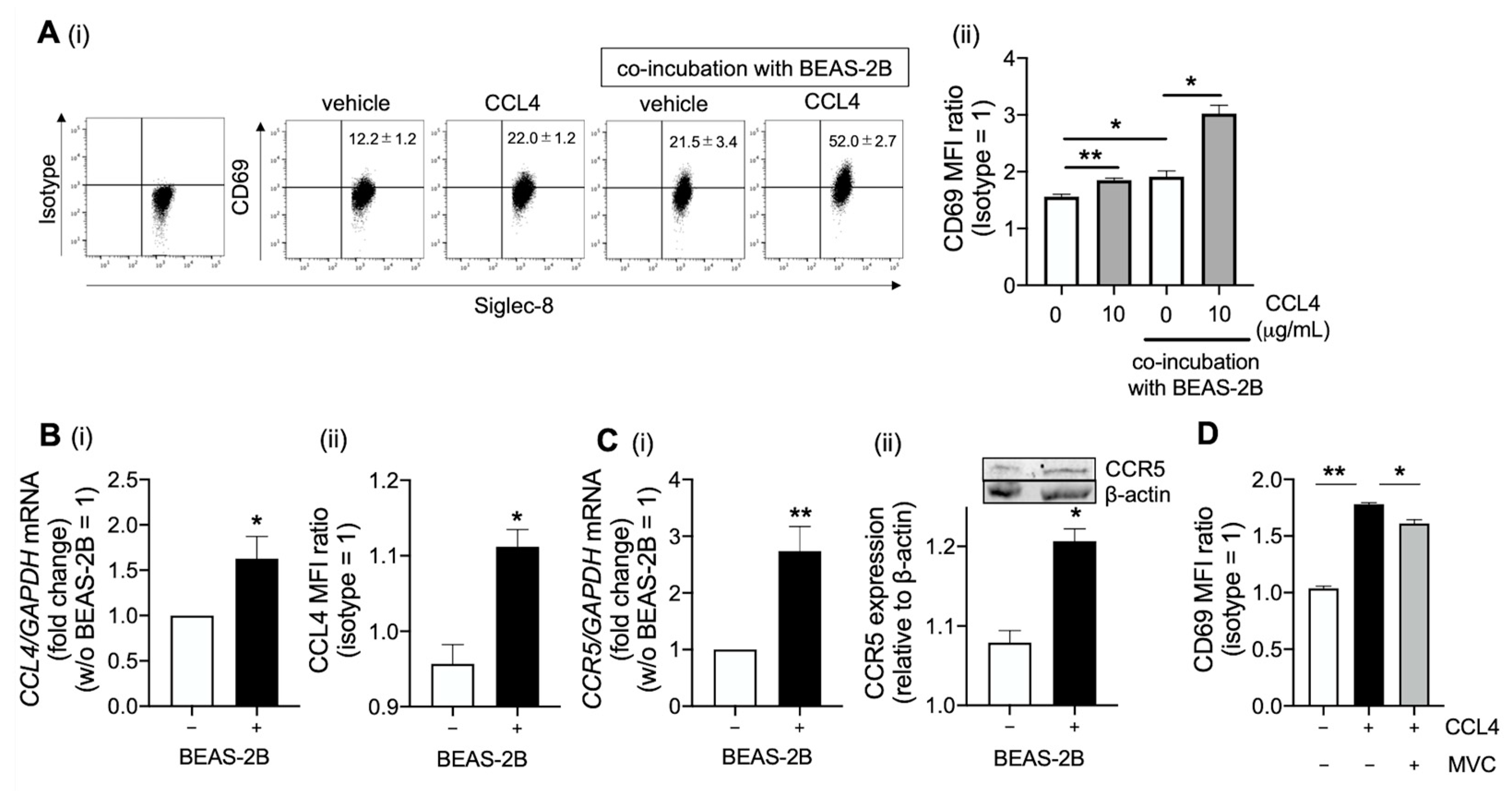 Ijms 23 16149 g003 Ijms 23 16149 g003