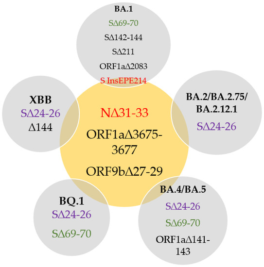 Detection of the Omicron SARS-CoV-2 Lineage and Its BA.1 Variant with ...