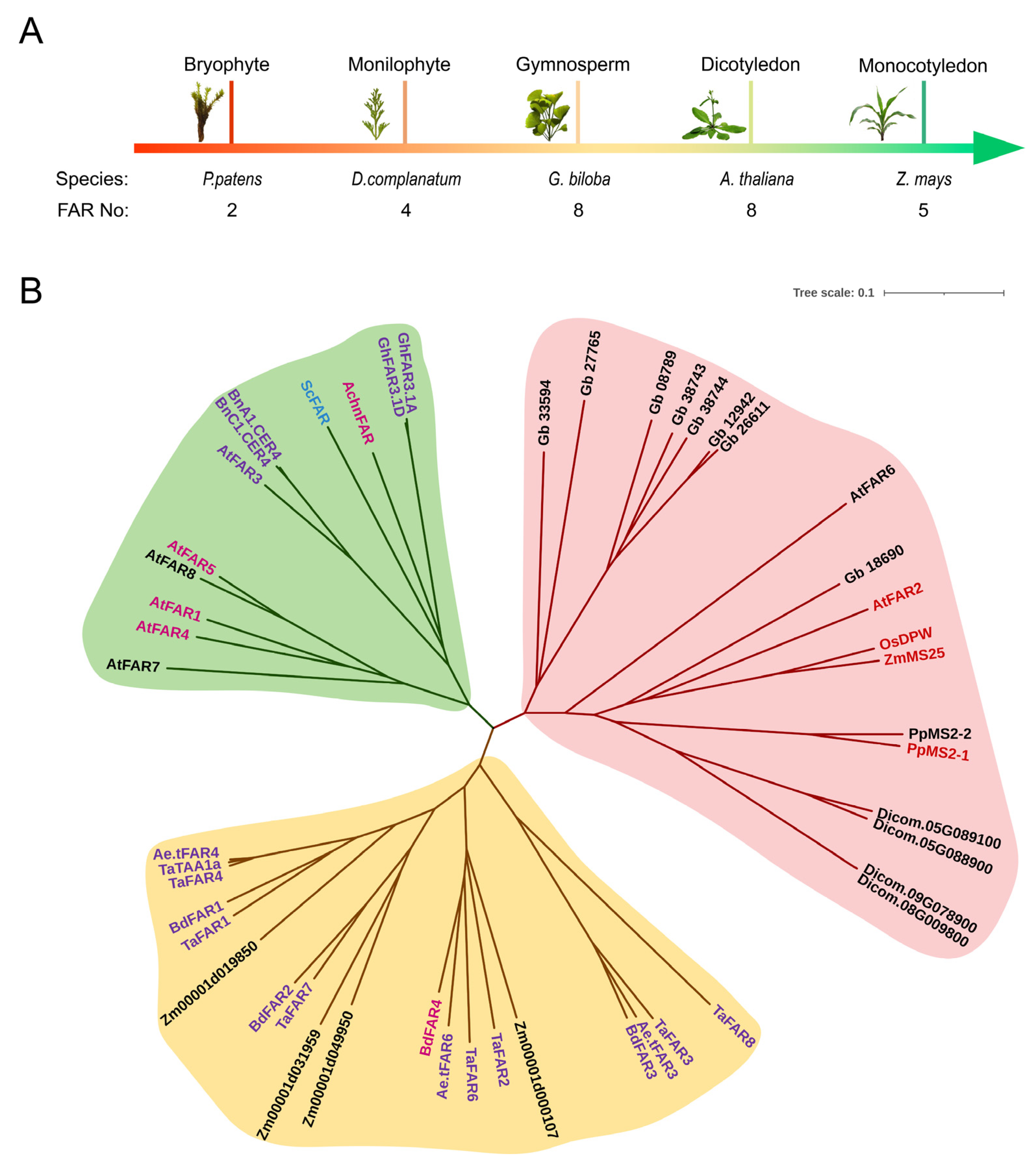 Ijms 23 16156 g001 Ijms 23 16156 g001