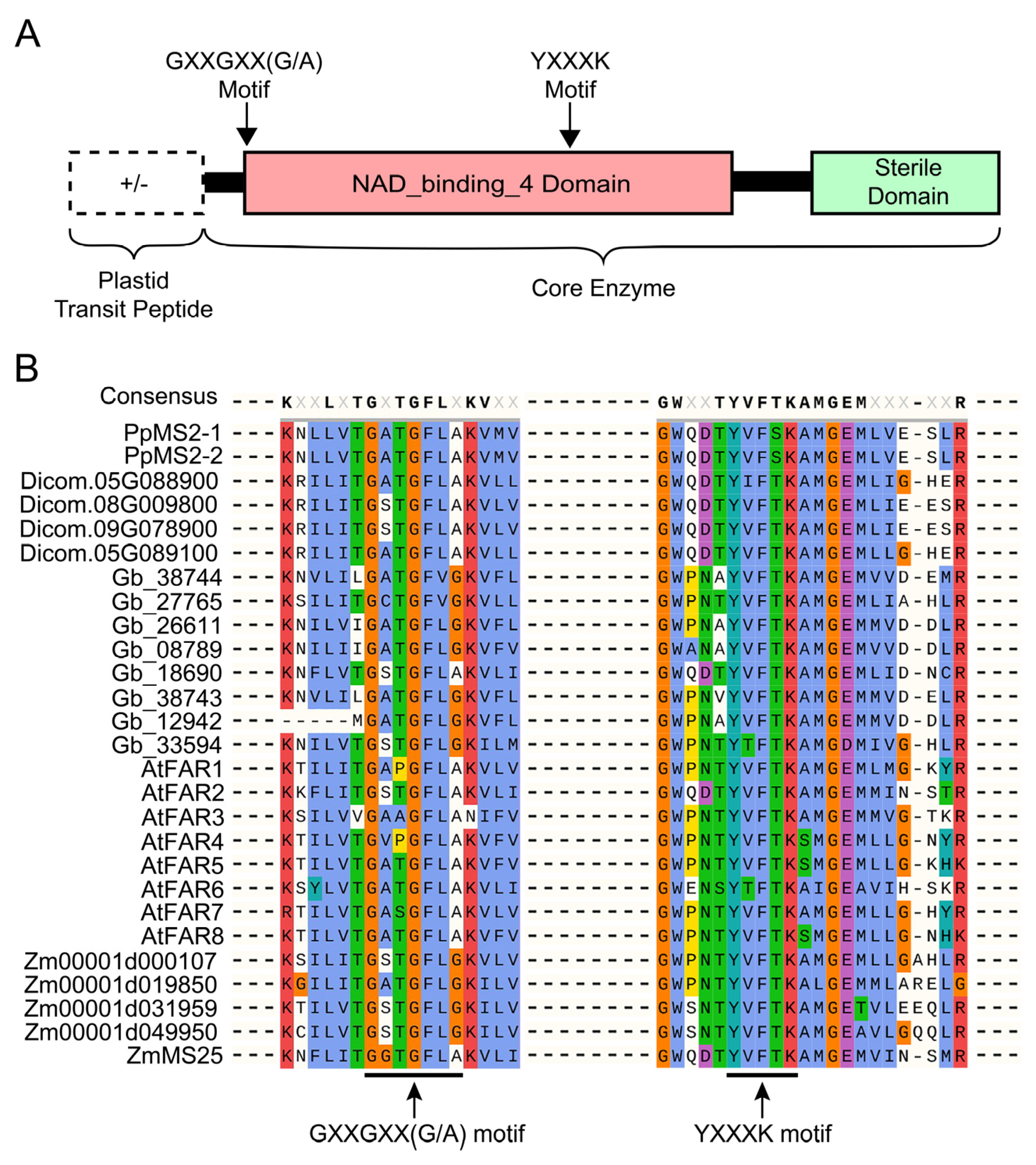 Ijms 23 16156 g002 Ijms 23 16156 g002