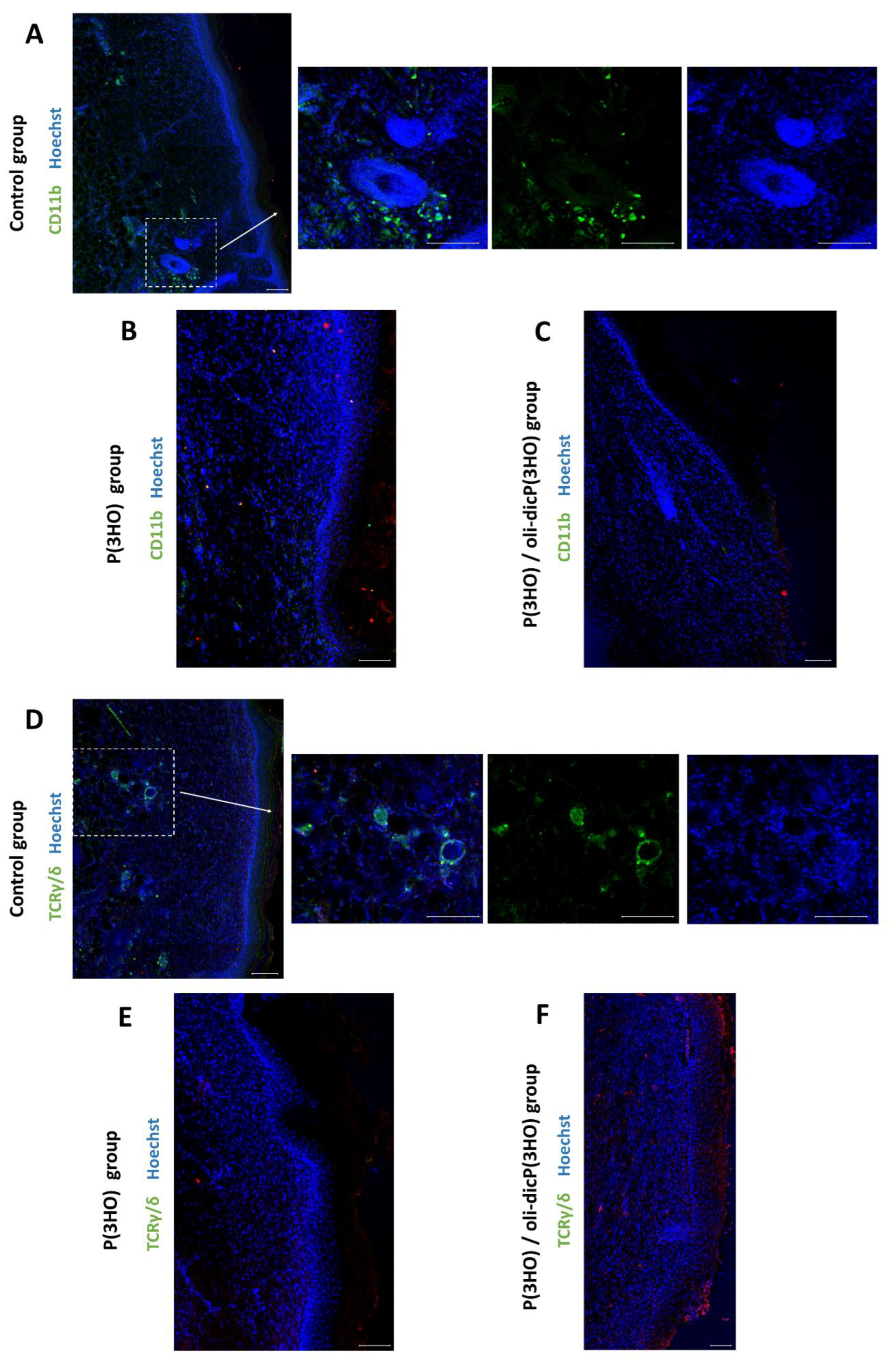 Ijms 23 16159 g012 Ijms 23 16159 g012