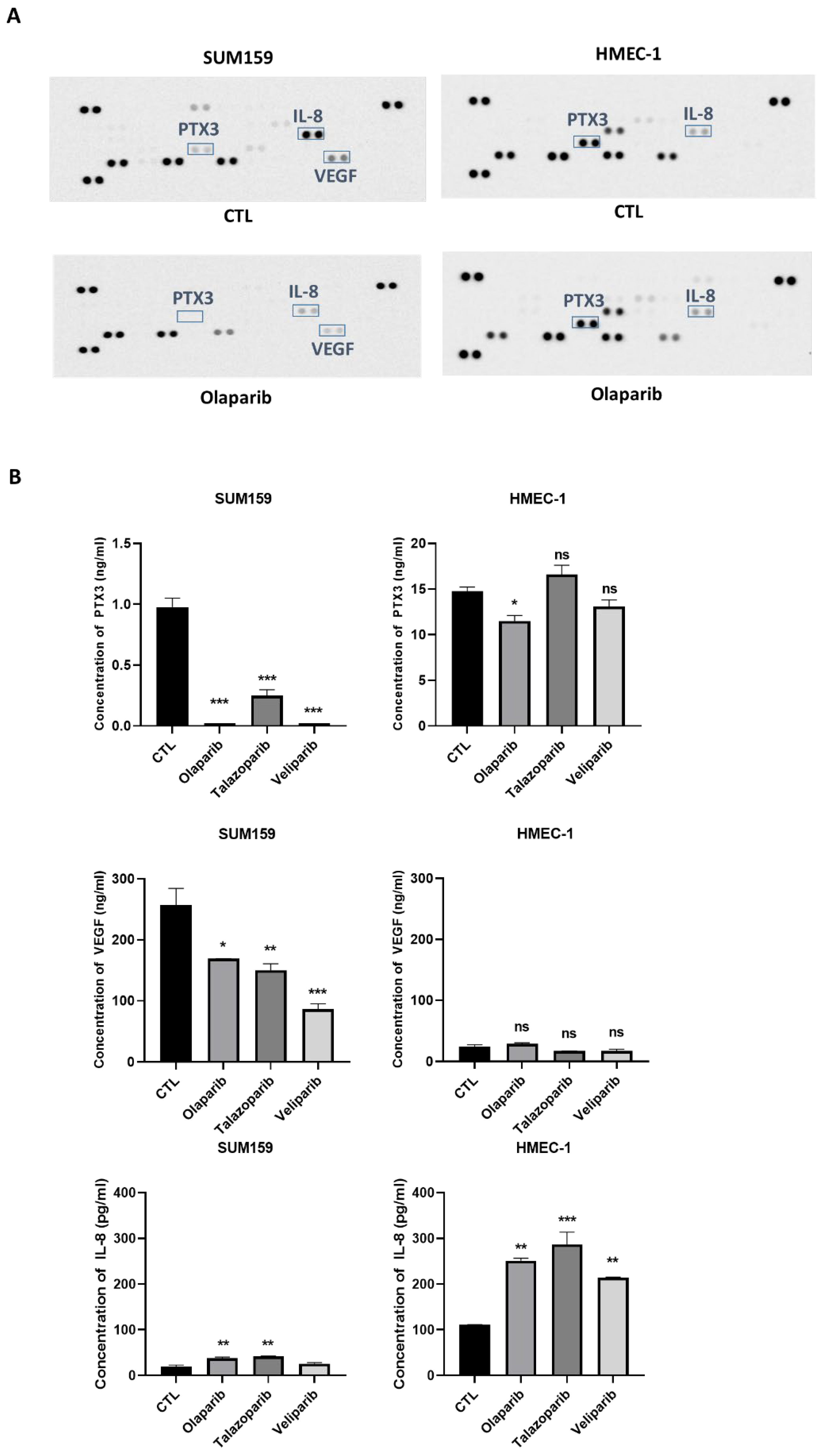 Ijms 23 16171 g003 Ijms 23 16171 g003