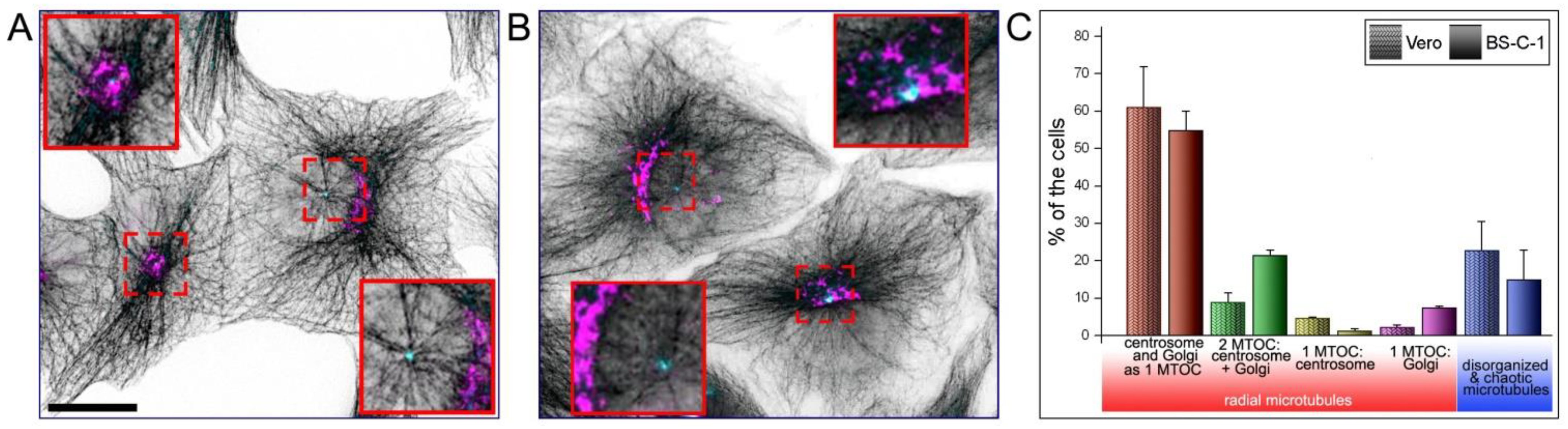 Ijms 23 16178 g001 Ijms 23 16178 g001