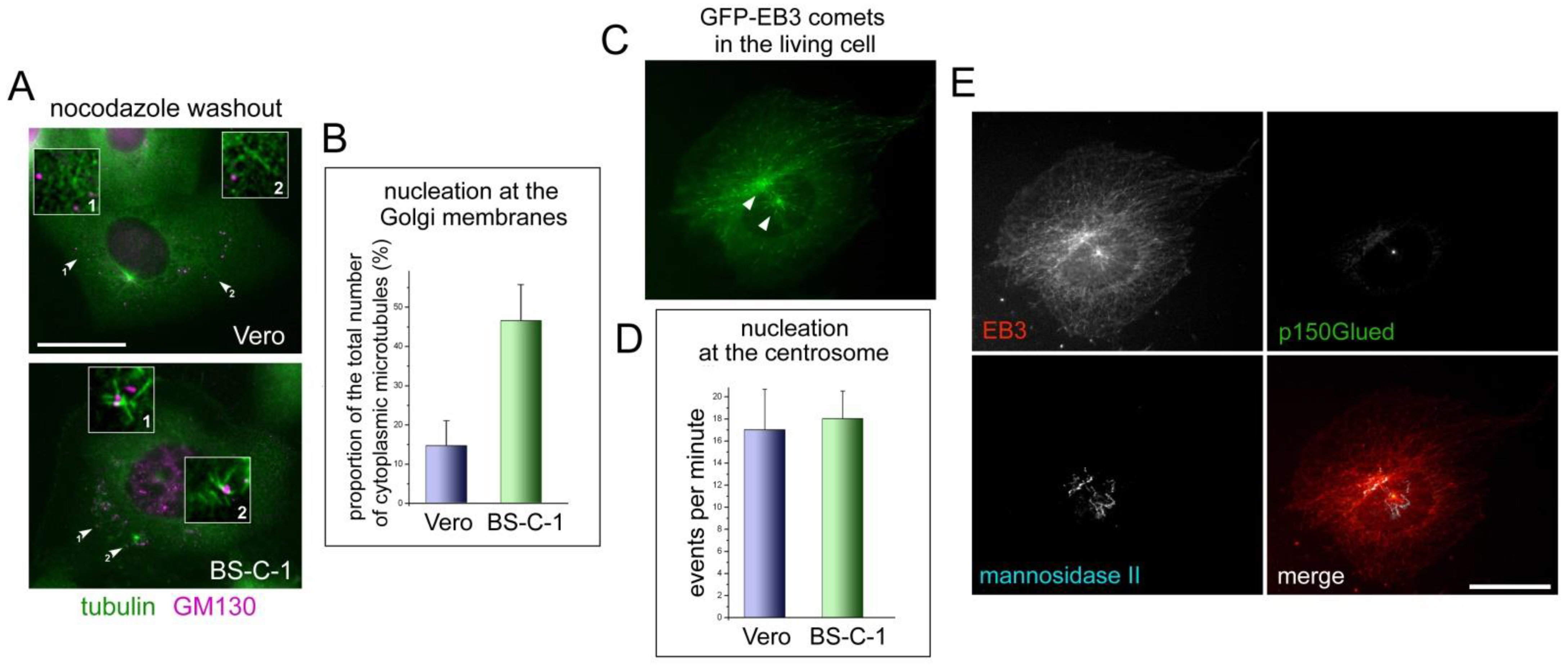 Ijms 23 16178 g003 Ijms 23 16178 g003